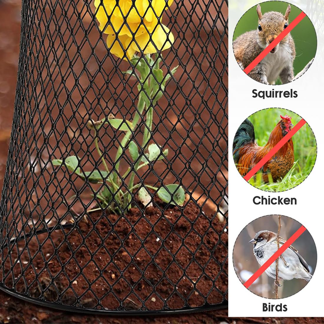 20 Protezioni Per Piante In Metallo Con Picchetti - Gabbie Da Giardino Anti-conigli E Uccelli - Altezza 23 Cm - 6
