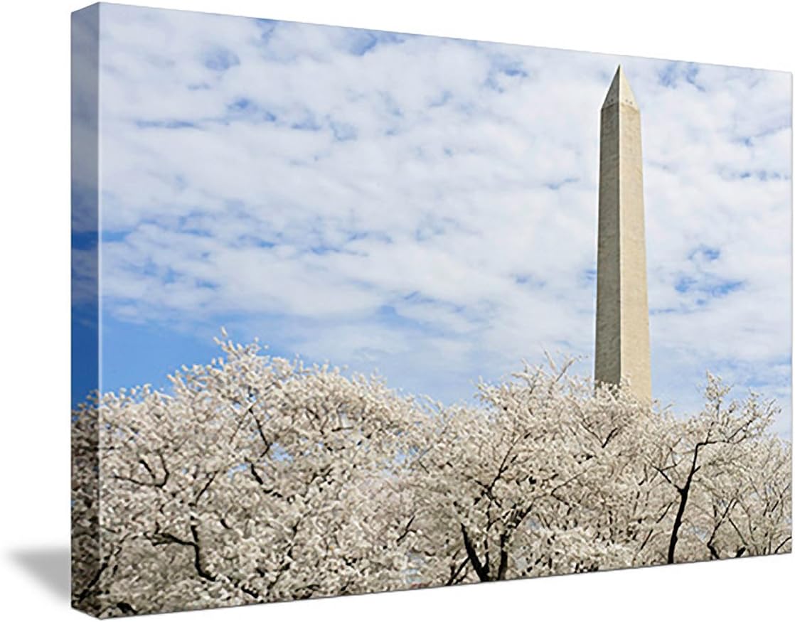 WASHINGTON MONUMENT AT CHERRY BLOSSOMS TIME gallery-wrapped giclee canvas print / canvas art - from the Ambassador Eckert "Images of Our World" collection