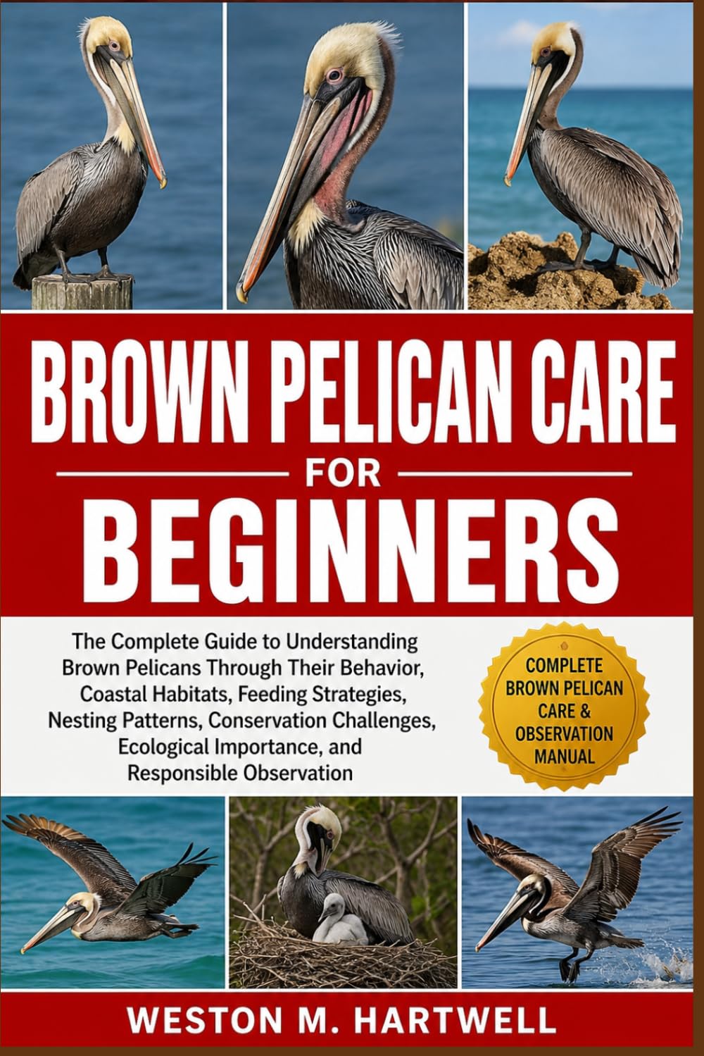 BROWN PELICAN CARE FOR BEGINNERS: The Complete Guide to Understanding Brown Pelicans Through Their Behavior, Coastal Habitats, Feeding Strategies, ... Importance, and Responsible Observation
