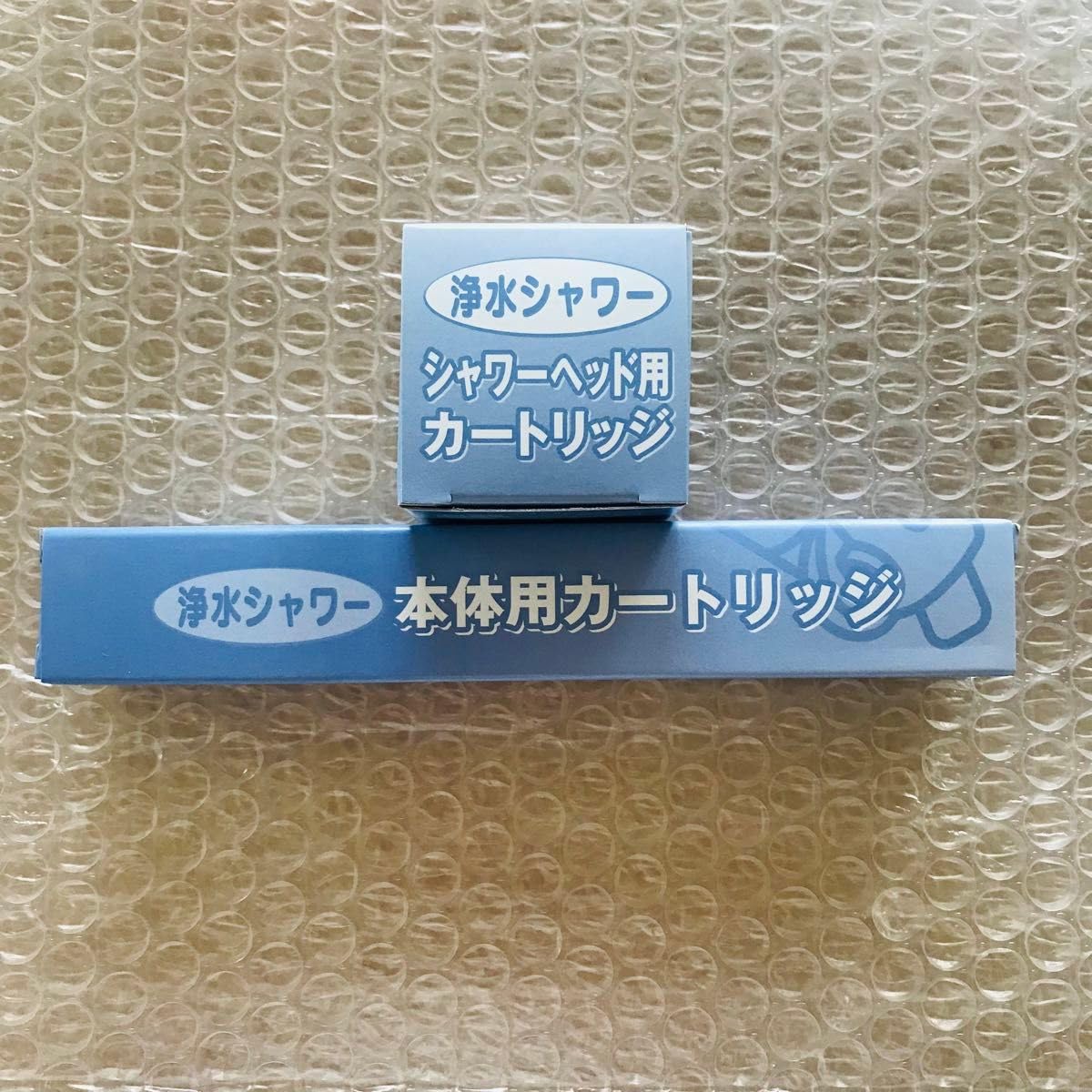 素粒水　浴室シャワー用　ヘッド　カートリッジ　フリーサイエンス フリーサイエンス 正規代理店 ウォーターセラピー 1台 （カートリッジ
