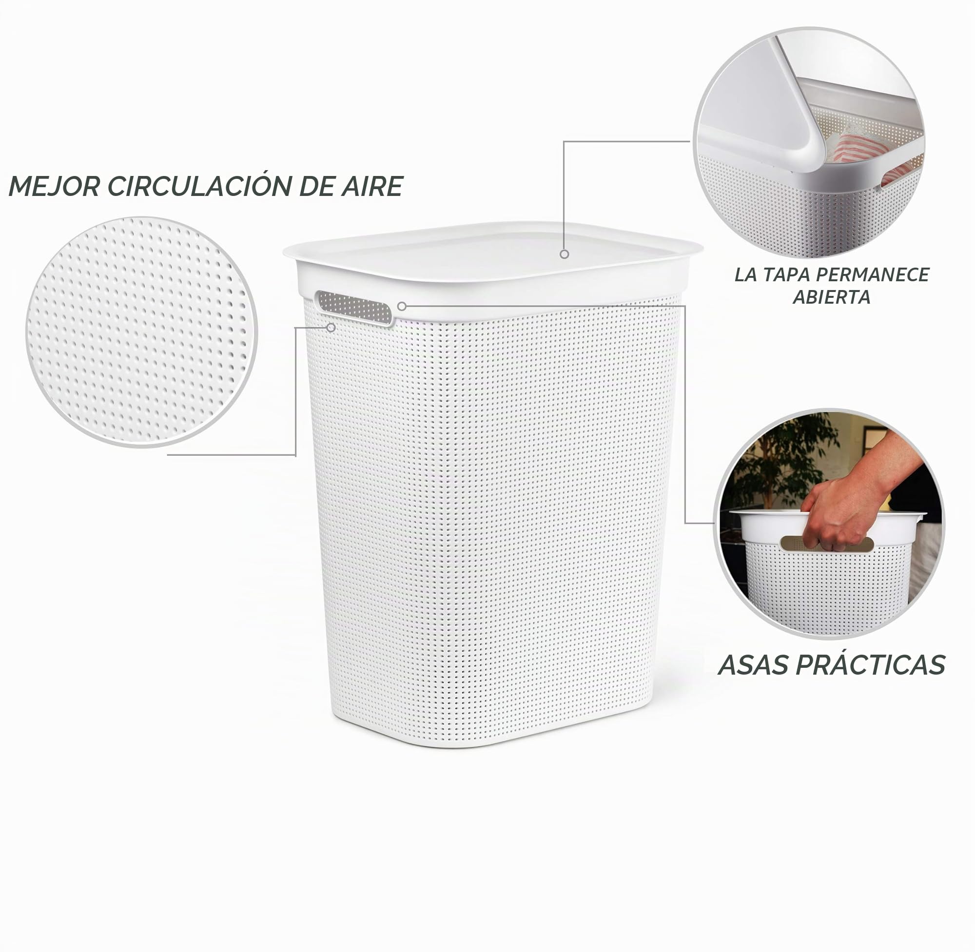 Rotho Brisen, Colector de lavado de 50l con tapa y 2 asas, Plástico PP sin BPA, muérdago blanco, 50l 43.1 x 34.0 x 52.9 cm