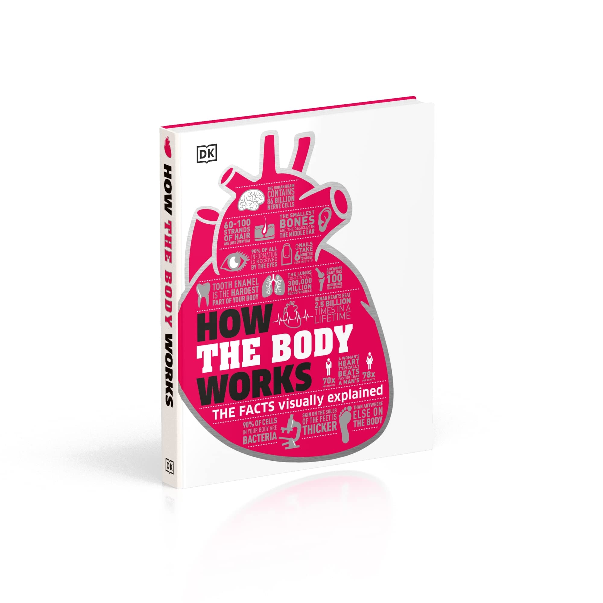 How The Body Works: The Facts Simply Explained (DK How Stuff Works)