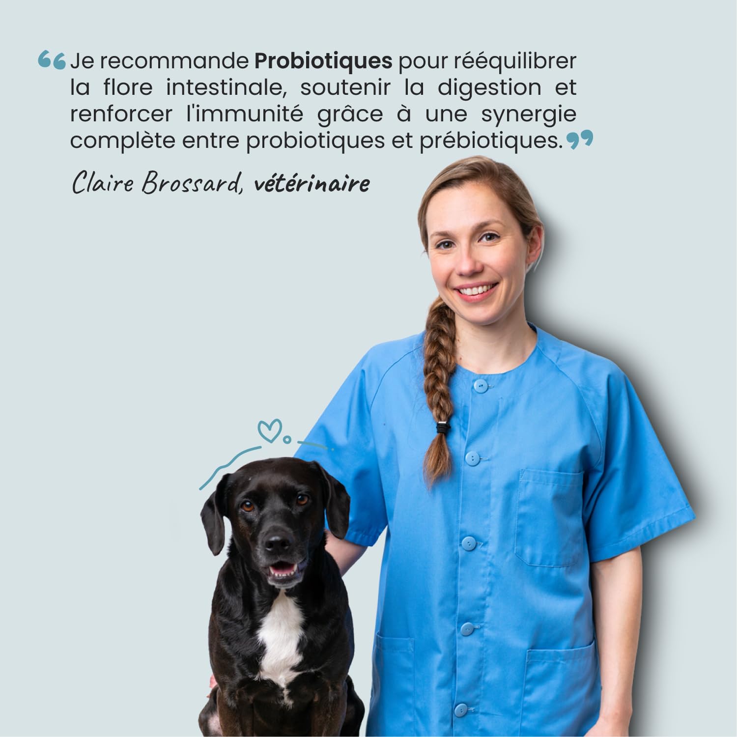 Probiotiques Chien Chat - 135 Milliards UFC - Flore Intestinale Digestion Transit - Lactobacillus Inuline Chicorée - Goût Poulet - 100g - Fabriqué en France - Museau & Co