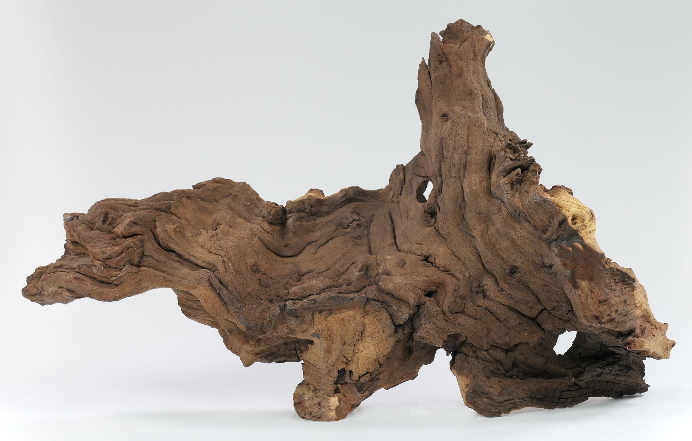 Korzeń Mopani rozmiar M // korzeń prawdziwego drewna dekoracja akwarium krewetki ryby ozdobne Hard Scape 20 cm - 30 cm (mangrowa sawanna)