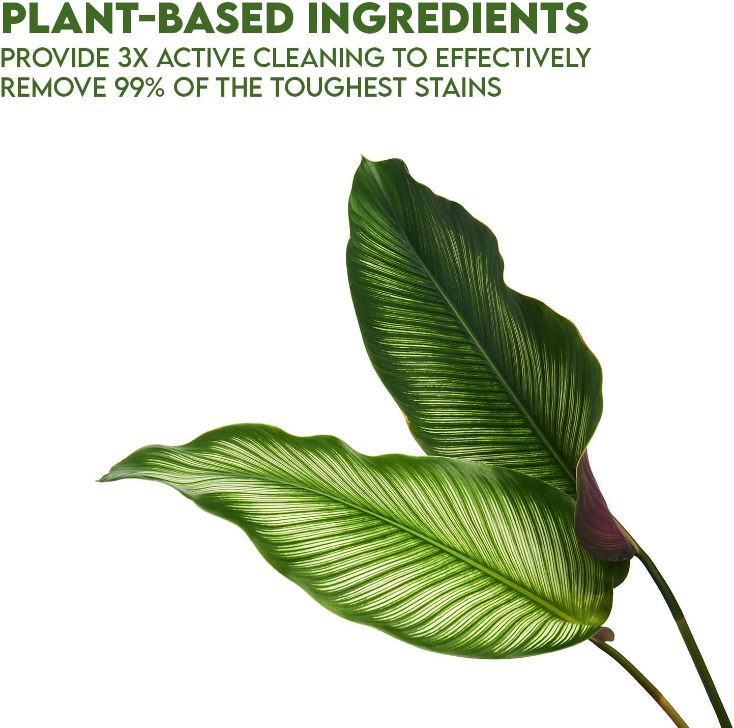 WBM Laundry Detergent | Plant-Based Liquid Formula | 34 fl oz Each, 50 Loads Total | Eco-friendly and effective cleaning for all your laundry needs | 2-Pack