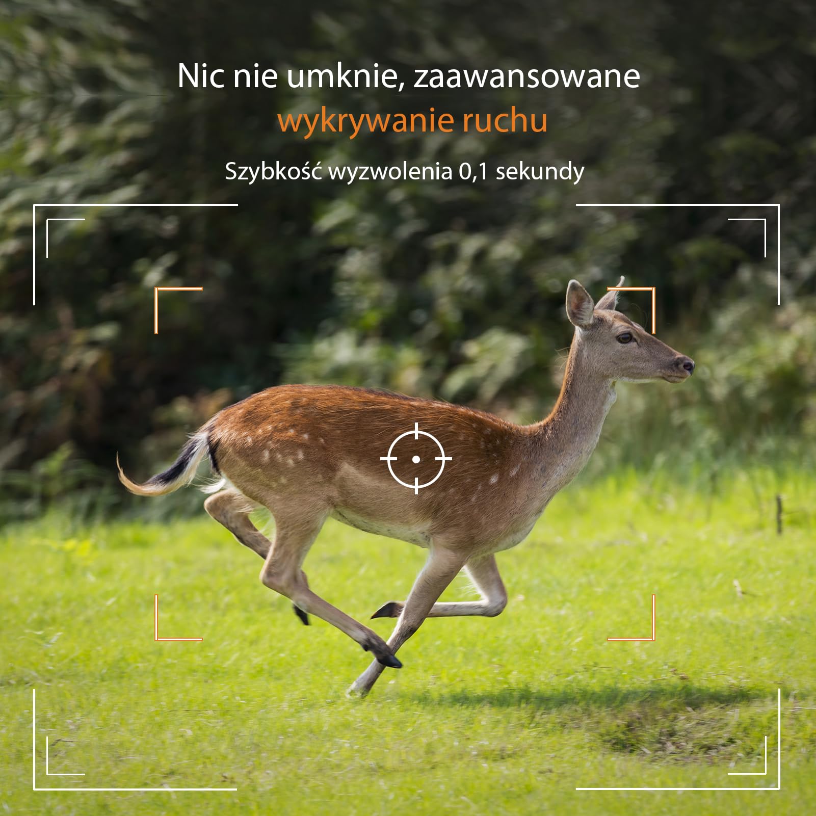 GardePro A50 4K kamera do obserwacji dzikich zwierząt z kartą SD 32 GB, 64 MP, kamera do obserwacji dzikich zwierząt z czujnikiem ruchu, widzenie nocne do 30 m, szybki wyzwalacz 0,1 s, czujnik ruchu