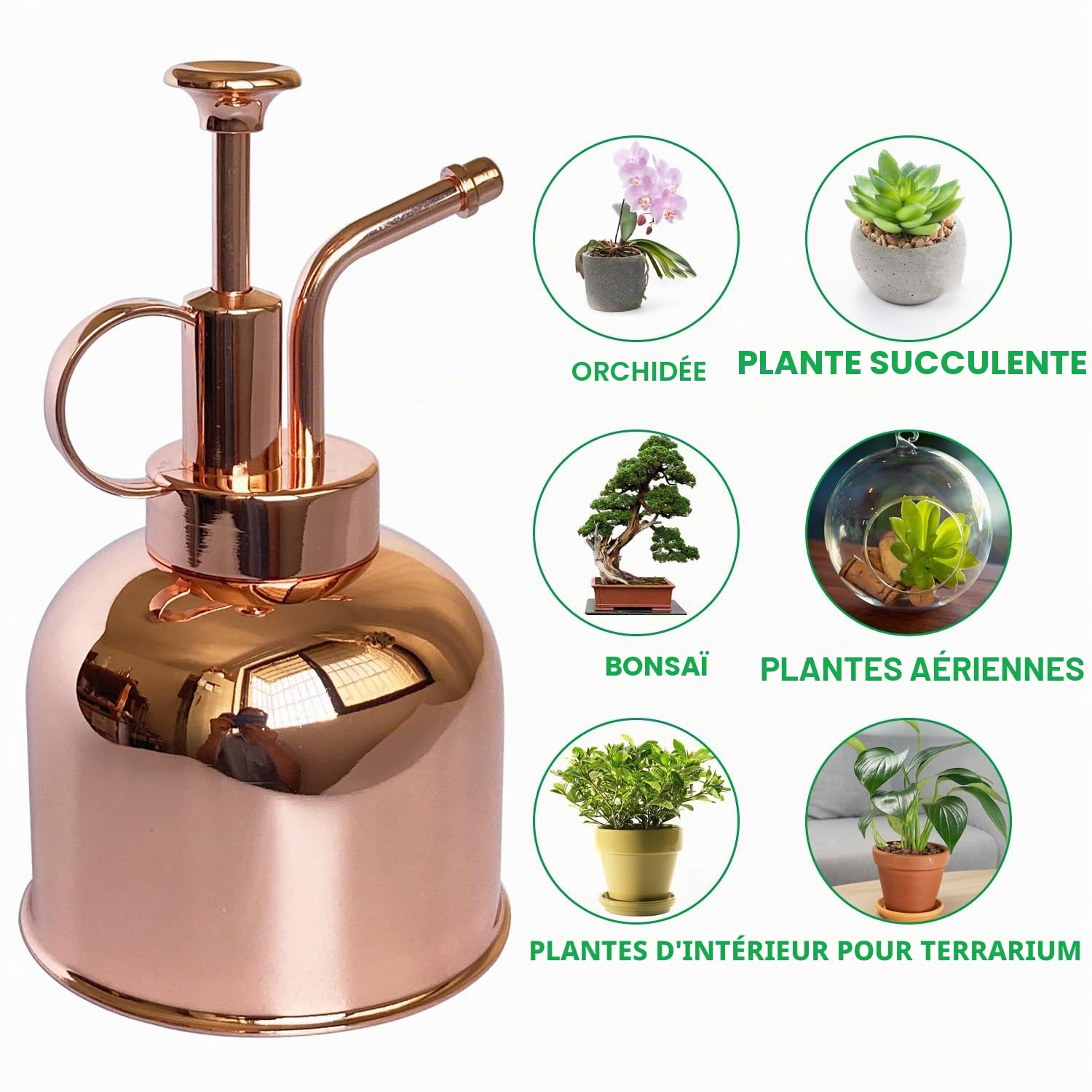 Flacon pulvérisateur en Acier Inoxydable pour Plantes-Petit arrosoir-Outils de Jardinage Modernes pour Plantes en Pot d'intérieur-Arrosage et pulvérisation (Or Rose, 0.3L)