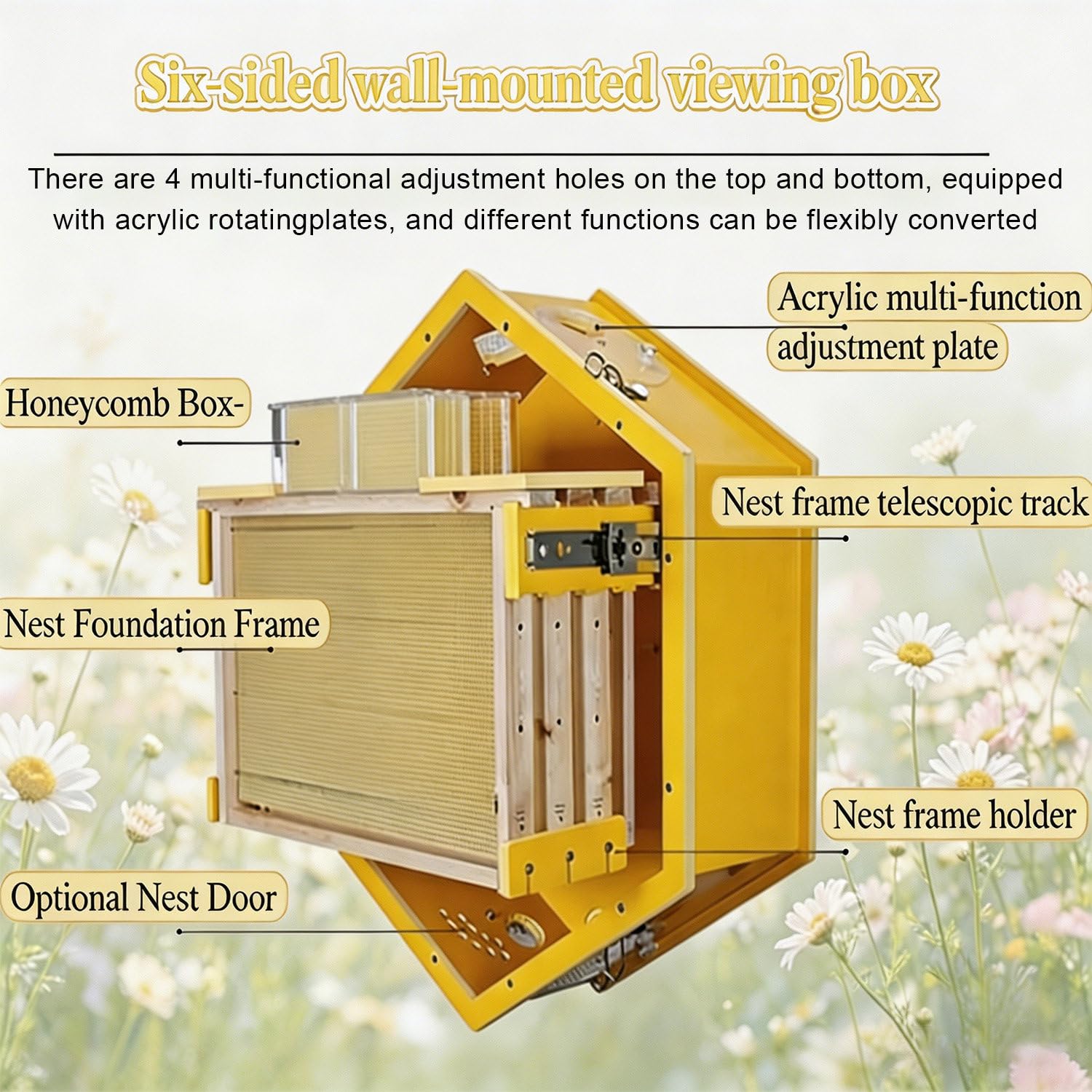 Bienenstock mit Sichtfenster, Wandmontage, 6-Box-Sammelstock für die Ernte von natürlichem Honig und einfache Kolonieverwaltung