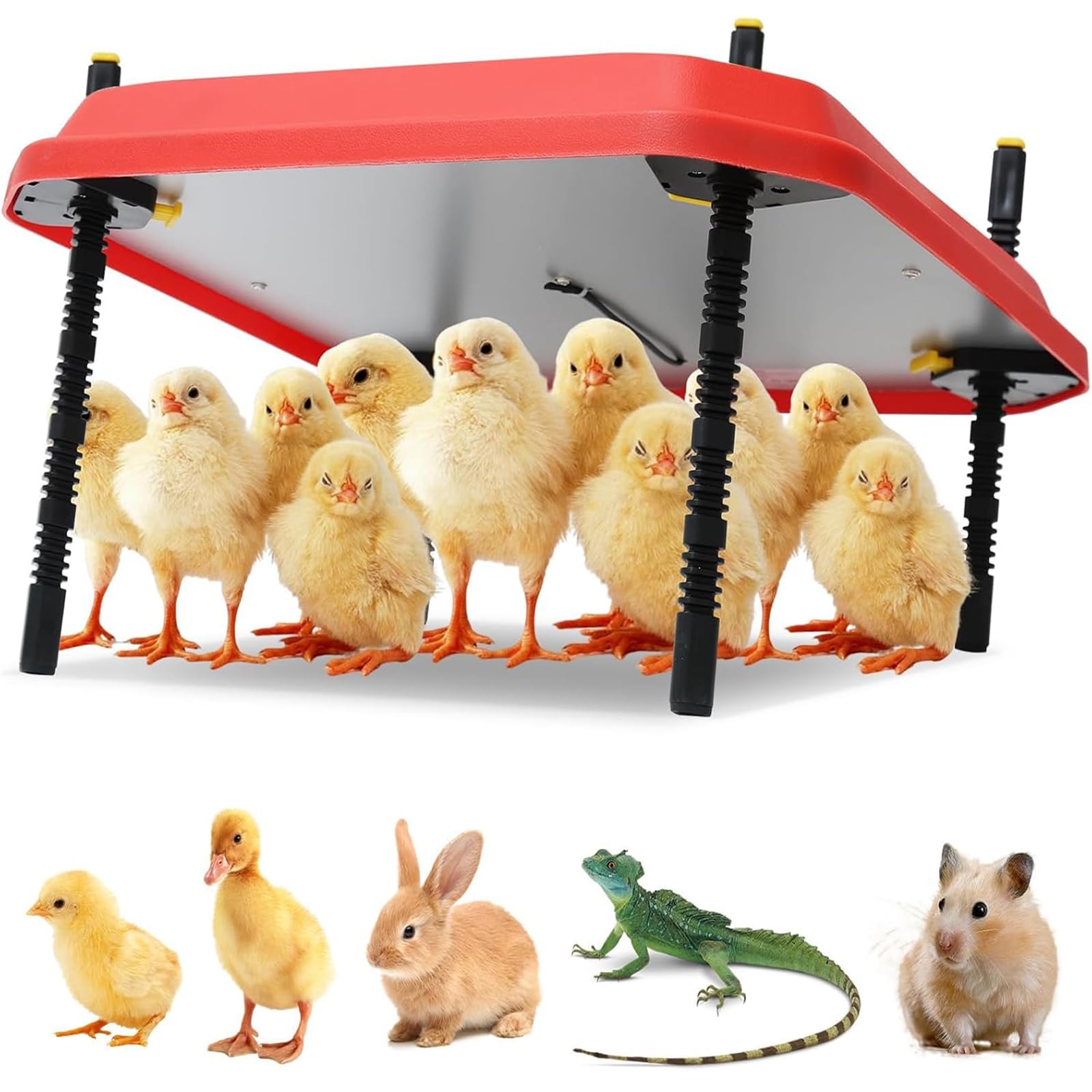 Lámpara de calor para aves de corral, calentador de gallinero, placa de cría para pollitos de 16 "x 16", altura ajustable, con indicador de seguridad, placa de cría en ángulo, para 30-40 pollitos