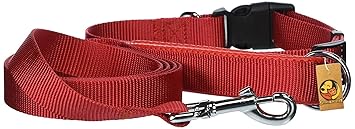 Foodie Puppies Nylon Padded Neck Collar Belt & Leash Set for Puppies & Dogs - (Size: Small, Width: 0.75 Inch, Color: Red Black)