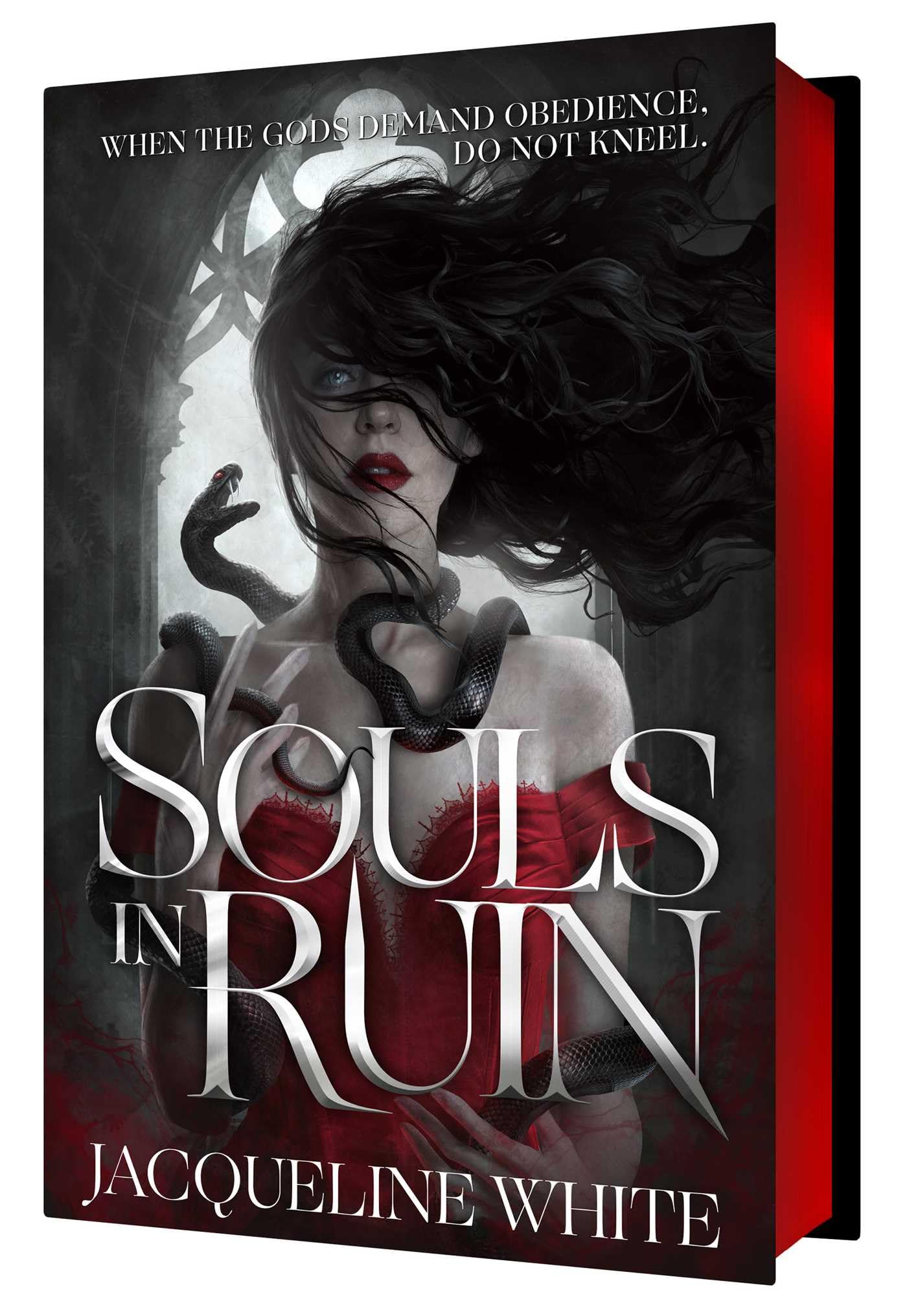 Souls In Ruin: the hottest enemies to lovers dark fantasy romance to obsess over!: Volume 1 (The Soulbound Series)