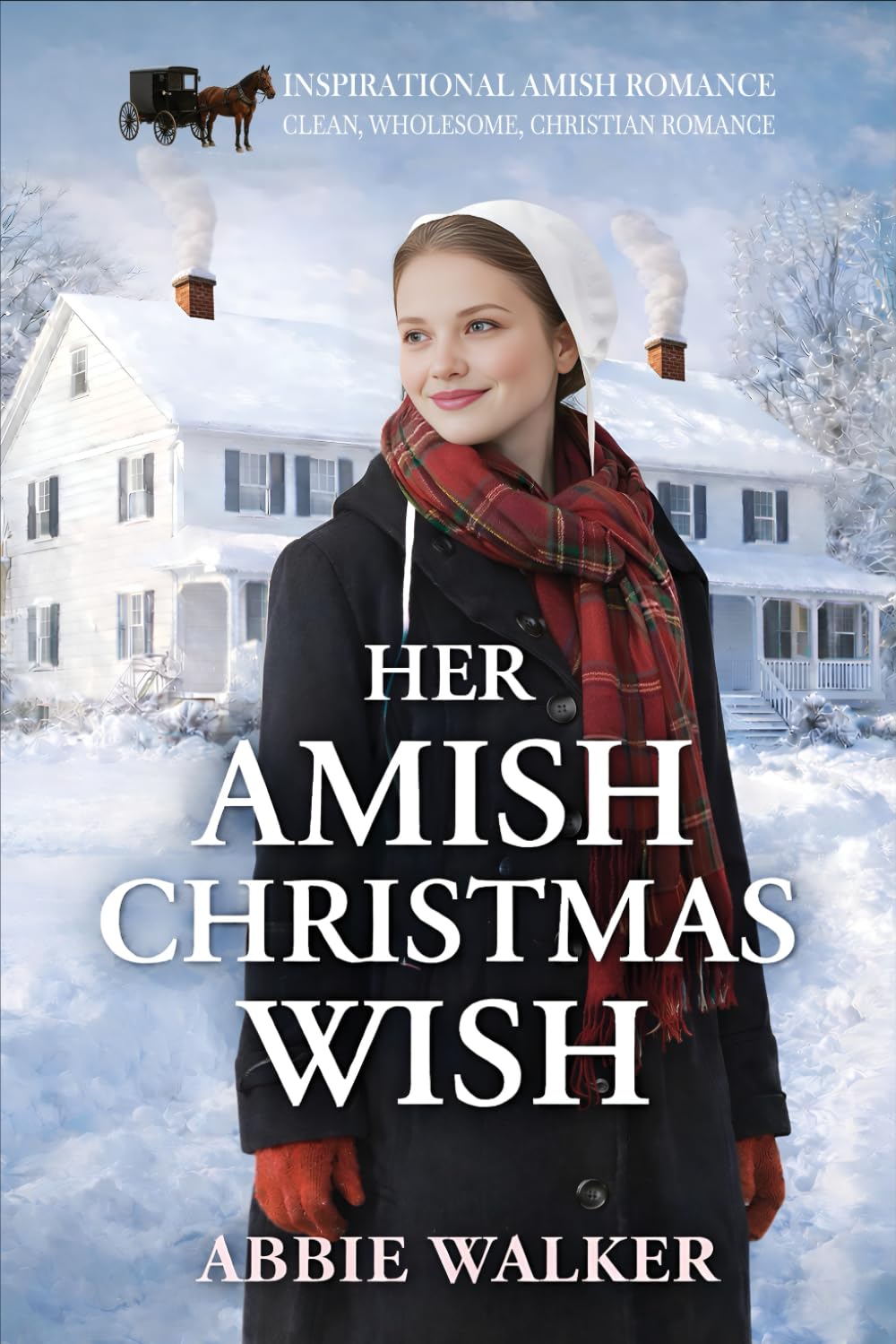 HER AMISH CHRISTMAS WISH