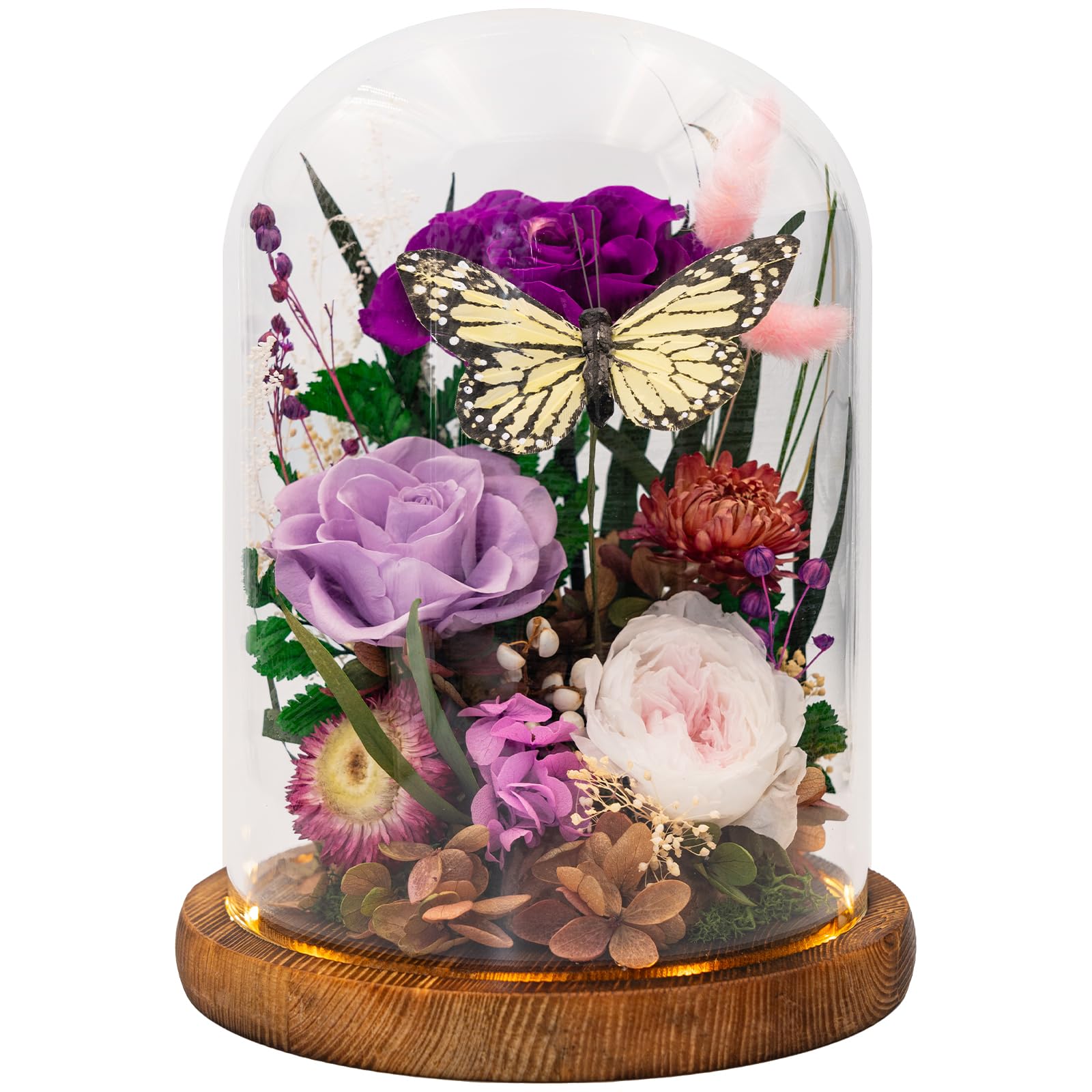 HUACHIPLUS Eternal Flower with Butterfly: Big Flowers Big Love-Elegant Flower in Glass Dome-Thanksgiving, Christmas, Mom Gifts for Her-Flowers for