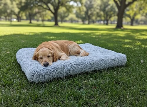 Miniatura 6 de Cama para perro, camas para mascotas (pequeñas) - Calidad premium, lavable y portátil, ecológica, múltiples tamaños, diseño elegante, funda