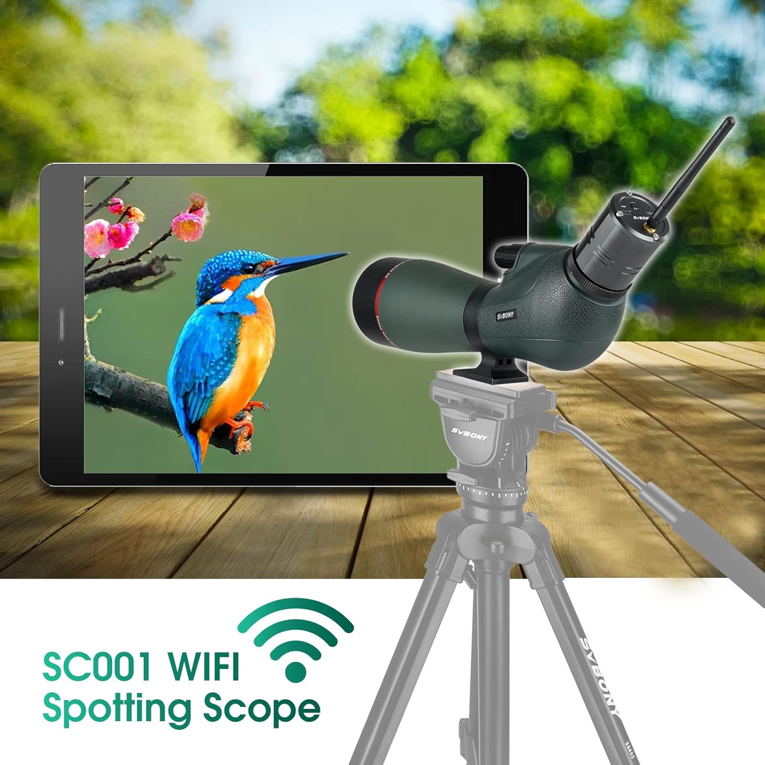 SVBONY SV406P spotting scope with the SC001 WiFi camera attached, displaying an image of a bird on a tablet screen.