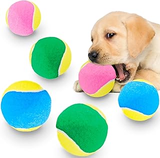 CoCoo Dog Squeaky Tennis Balls for Puppies and Teething Pets, 2