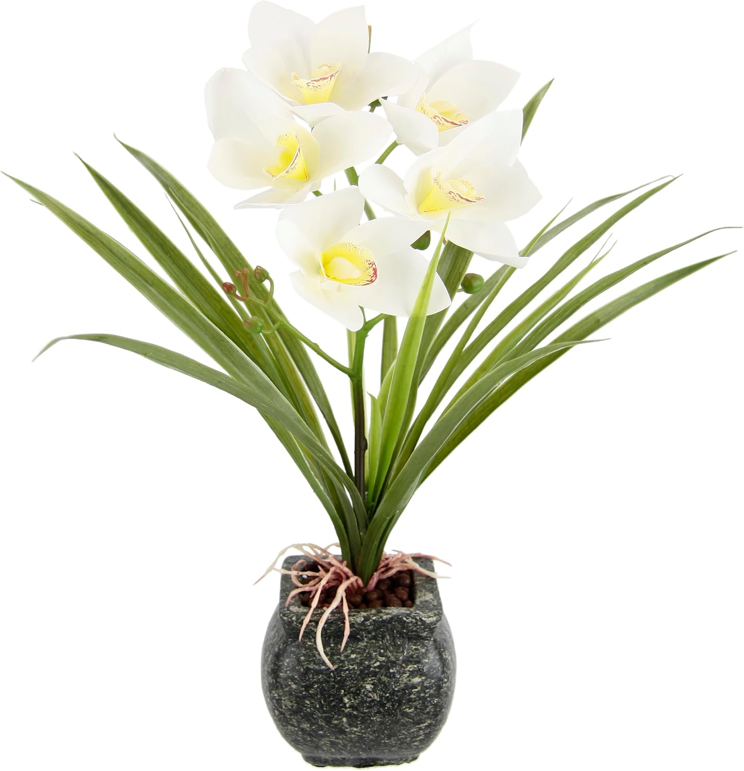 Artificial Cymbidium Orchid 40 cm with Leaves and Aerial Roots in Ceramic Pot Artificial Orchid Orchid Phalaenopsis with Planter Artificial Plant Wedding Decoration Silk Flower Real Blossom Cream