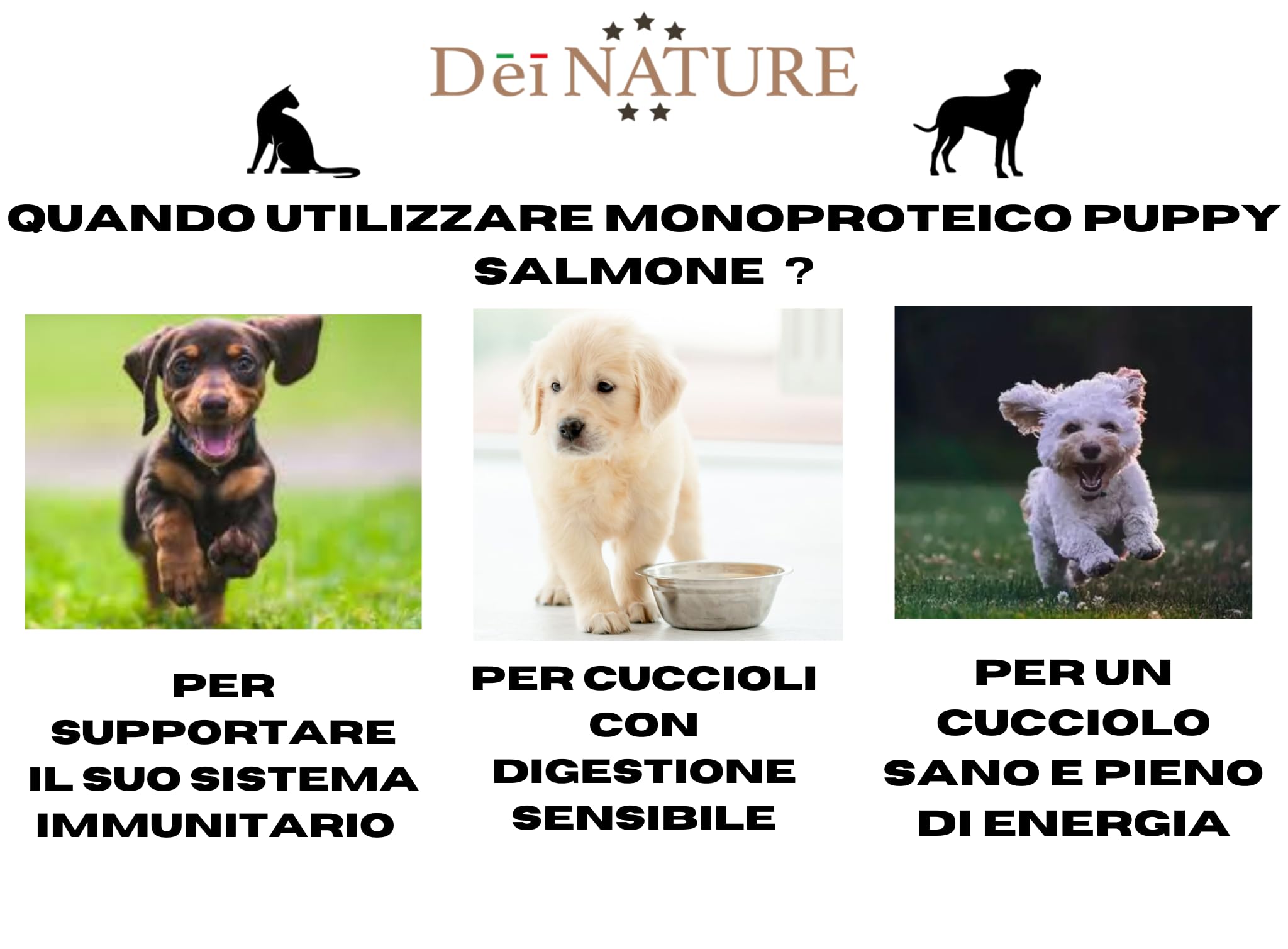 Pienso para cachorros, todas las razas, monoproteico al salmón, hipoalergénico, 12 kg