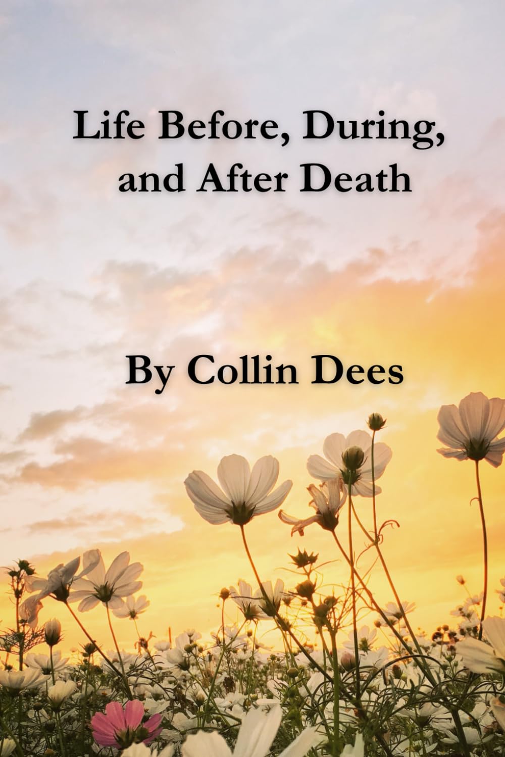 Life Before, During, and After Death: 1