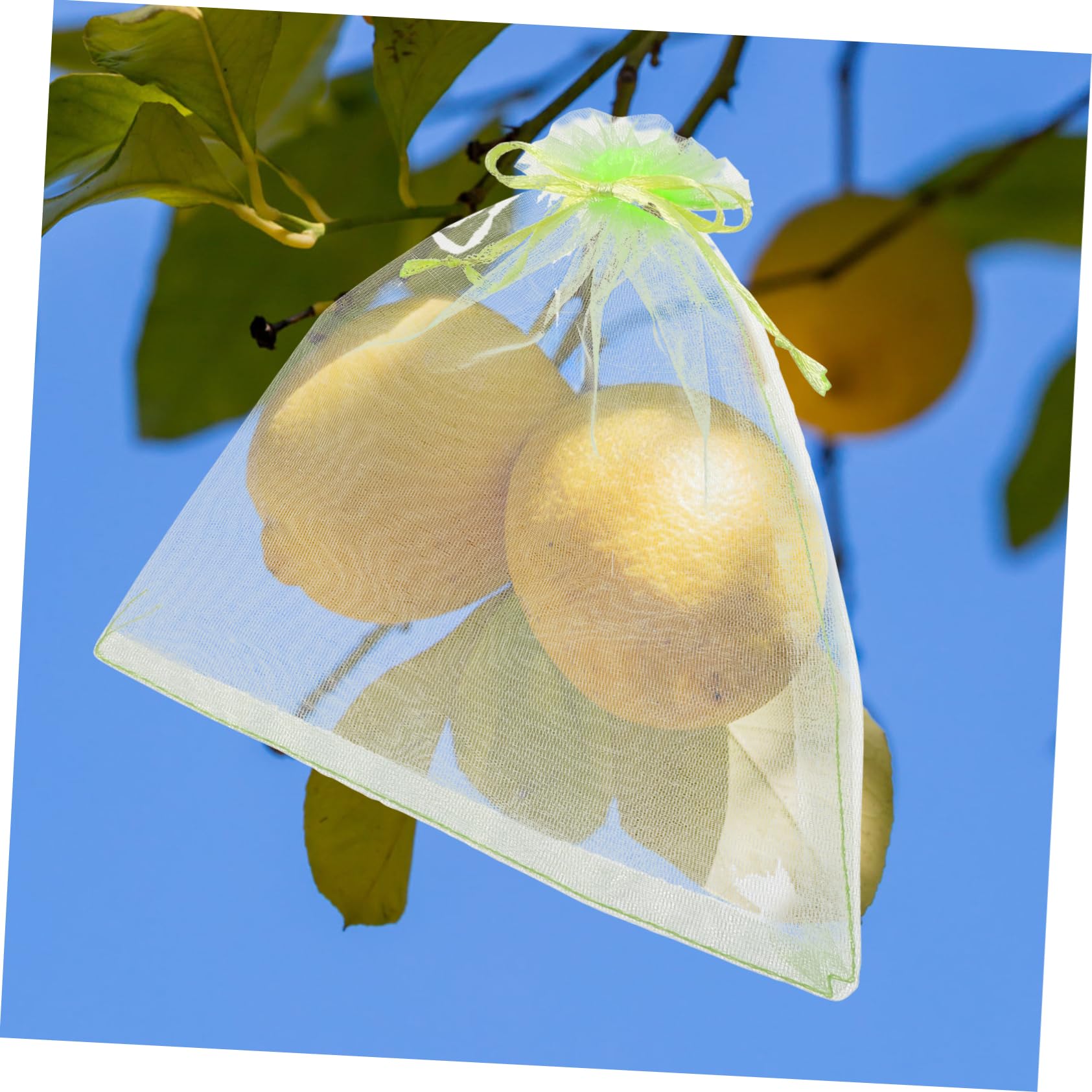 BESPORTBLE 500pièces Filets De pour Fruits Et Légumes Maille Anti-Oiseaux Et Anti-Insectes pour Jardin pour Protéger Vos Récoltes