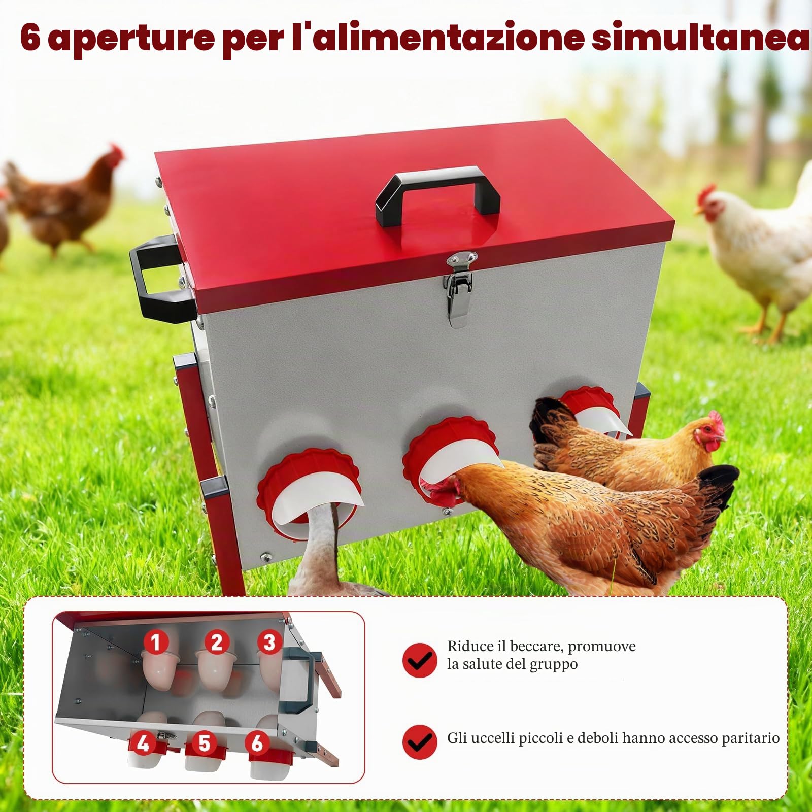 Mangiatoia per Galline Antitopo, Mangiatoia per Galline Grande Capacità 15 KG (33 libbre), Impermeabile e Resistente all'Umidità, con 6 Fori, per Galli/Anche/Oche, per Pollai Esterni/Fattorie/Cortili