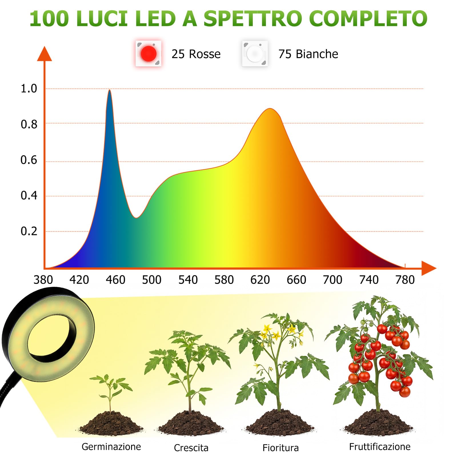 Lampada per Piante LED Spettro Completo, Grow Light 100 LED con Timer 4/8/12H, Lampada Piante 4 Teste con Collo d’Oca Flessibile, Luce per Piante da Interno per Piante e Scaffali
