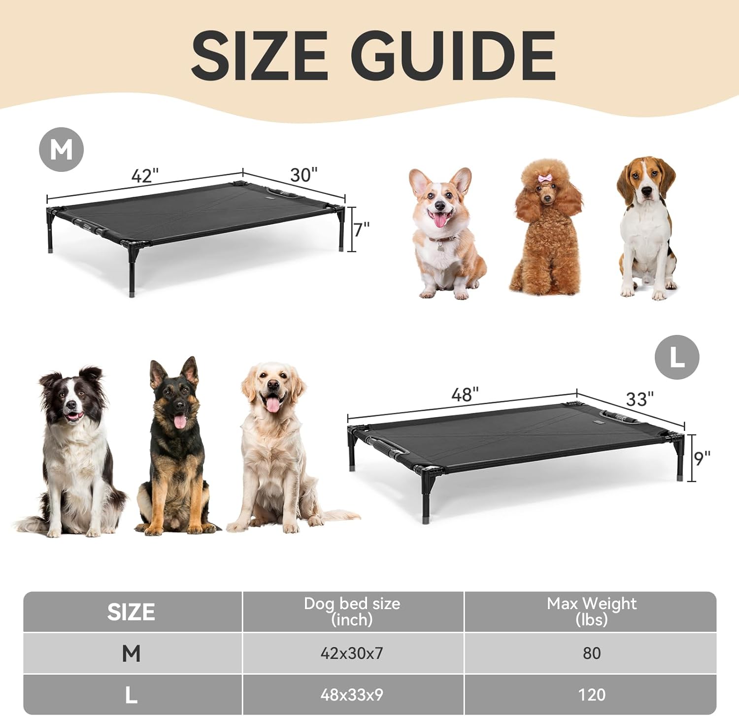 Ultimate Comfort for Your Pup: Review of Petsfit Elevated Outdoor Dog Bed