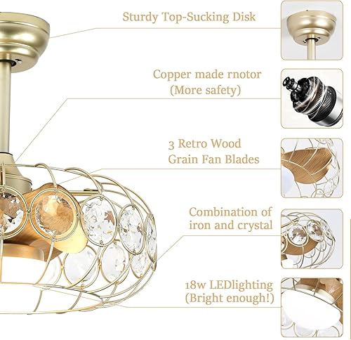Miniatura 3 de JSAITEE Ventilador de techo enjaulado de 20 pulgadas con luz y control remoto, reversible de 6 velocidades, temperatura de color ajustable,