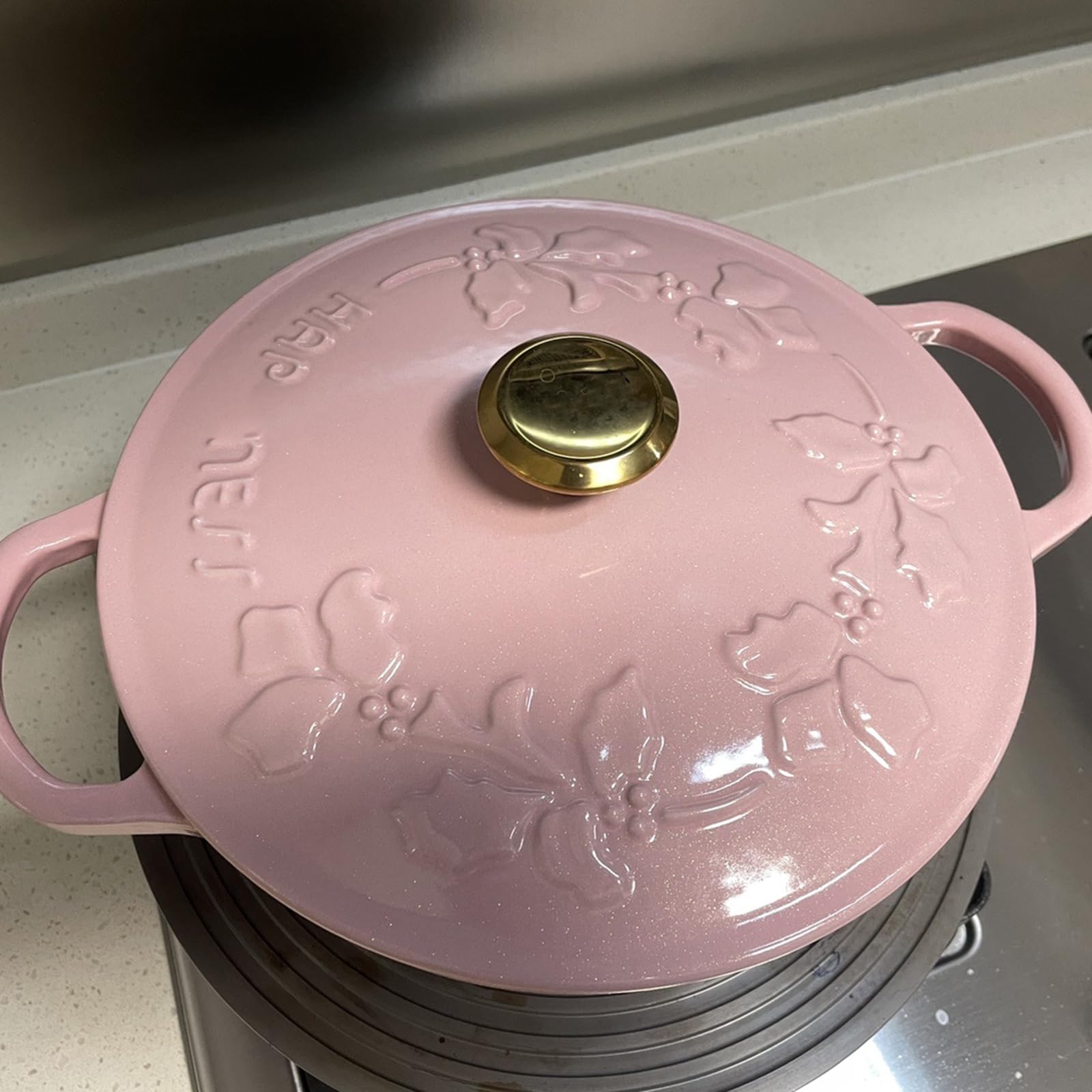 Mswborml Rosa Gusseiserner Topf mit Deckel Klein 2,5 L Schmortopf Induktion und Backofen, Robuster Schmortopf Gusseisen Gusseisen Bräter für Alle
