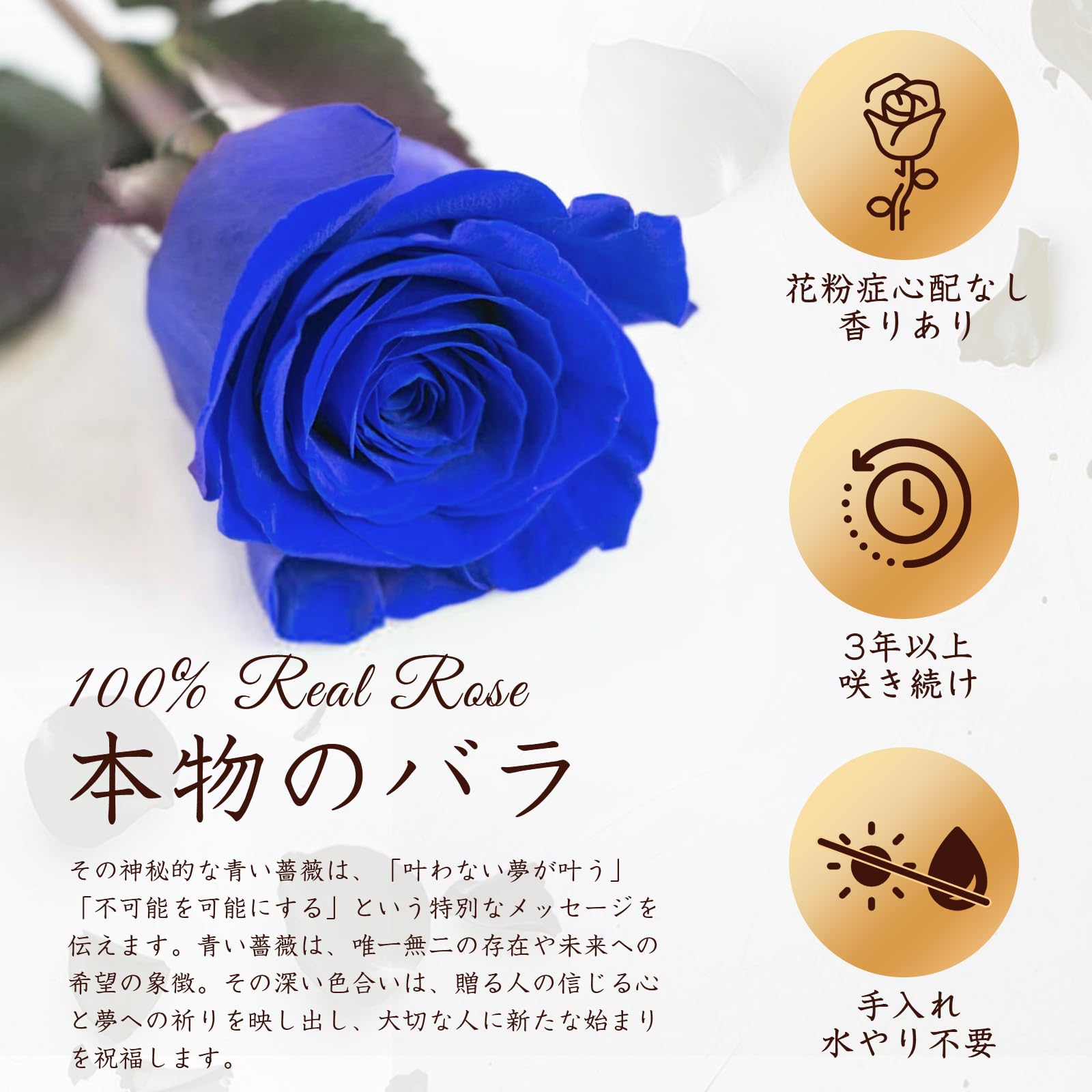 Amazon｜プリザーブドフラワー 16輪 青い 枯れない本物の薔薇 花箱 