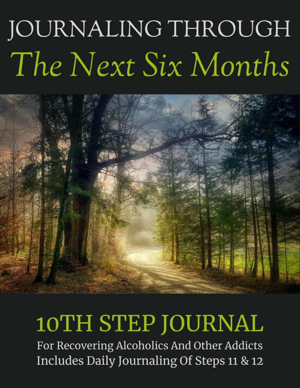 JOURNALING THROUGH THE NEXT SIX MONTHS: 10TH STEP JOURNAL For Recovering Alcoholics And Other Addicts Includes Daily Journaling Of Step 10 Step 11 & Step 12