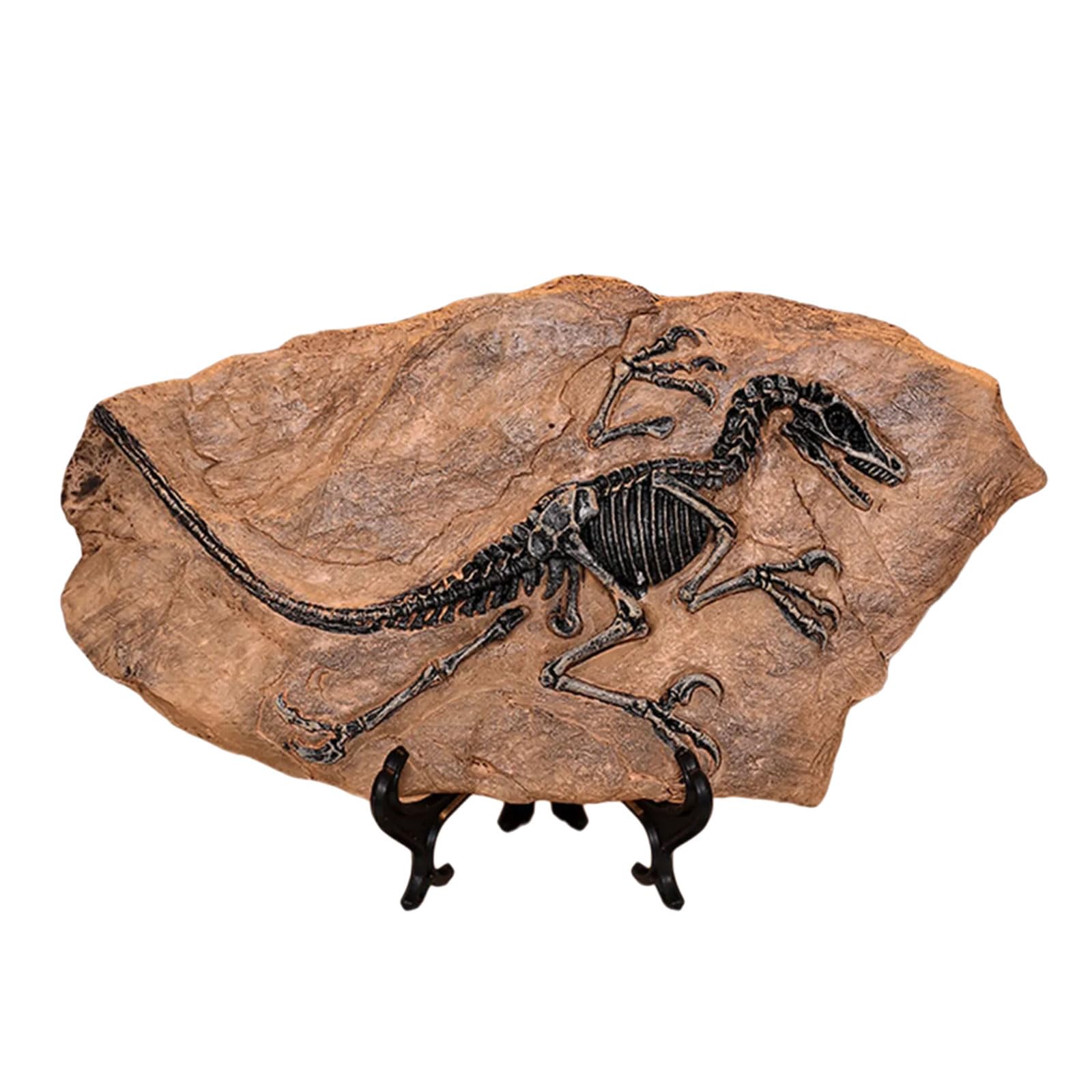 NVOQILIN Realistic Dinosaur Skeleton Fossils Resins Statue Figurine Ornament for Desktop Book Shelf Display and Collection