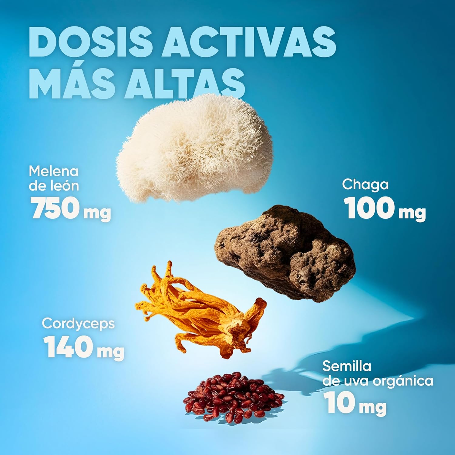 Organic Mushroom Coffee Ground Nootropic with Lions Mane, Chaga, Cordyceps & Red Grape Seed | Dark Roast for Focus, Clarity, Productivity & Brain Energy | Homodeus Smart Keto Coffee 30 Servings - Image 3