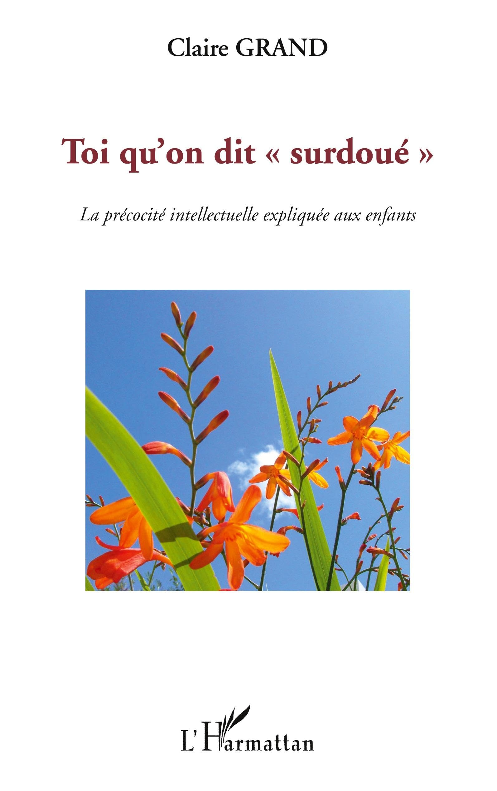 Toi qu'on dit surdoué"": La précocité intellectuelle expliquée aux enfants