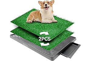 25''x20'' Washable Indoor Potty Trainer Tray