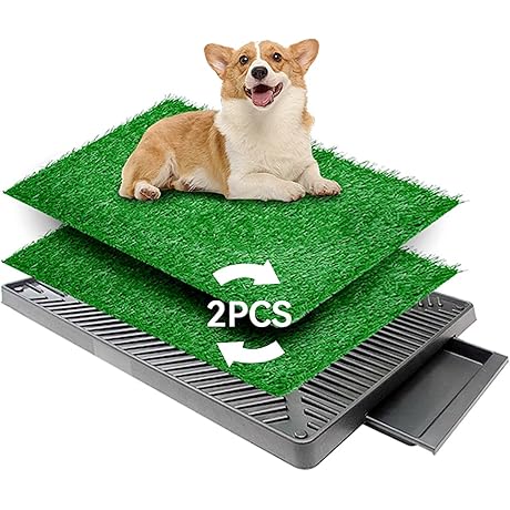 25''x20'' Washable Indoor Potty Trainer Tray