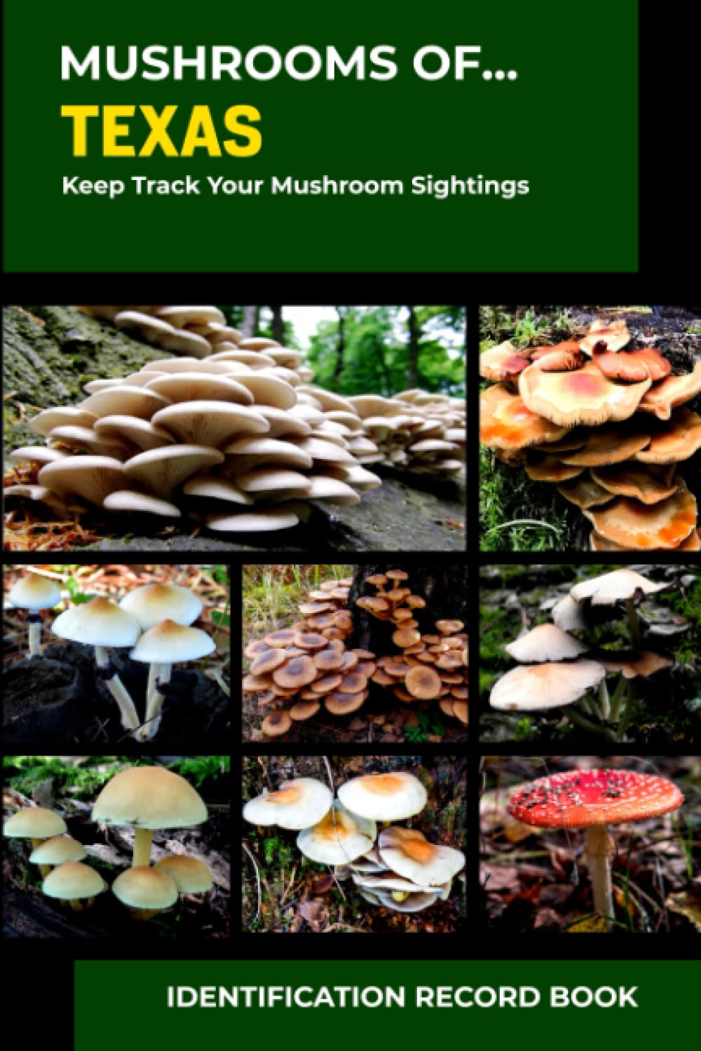 Mushrooms of Texas Mushrooms Foraging in Texas Identification Record
