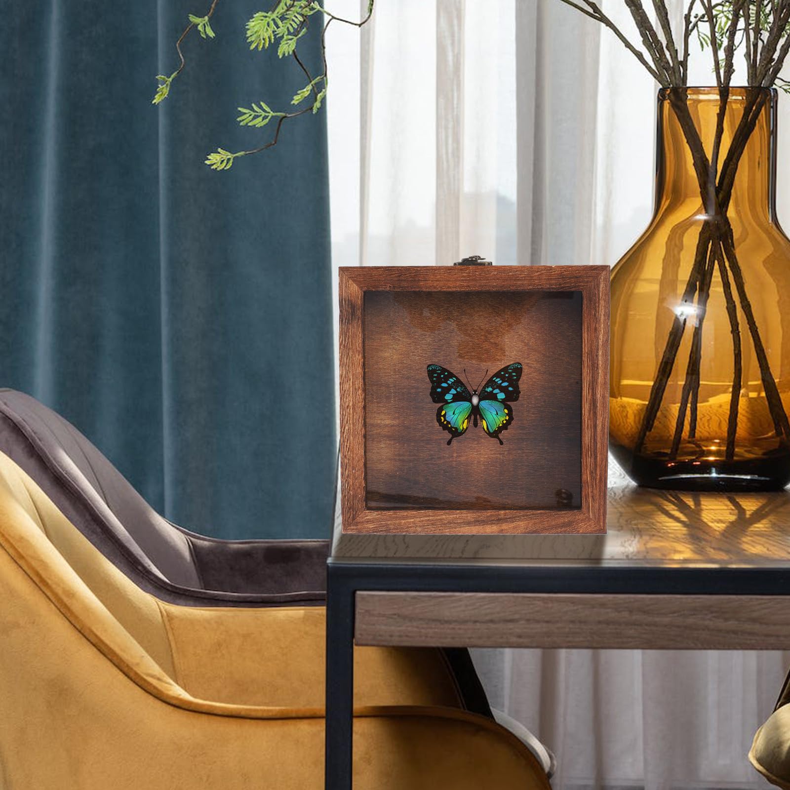 Insektenvitrine und Acryl im Retro Stil mit Großem Platz