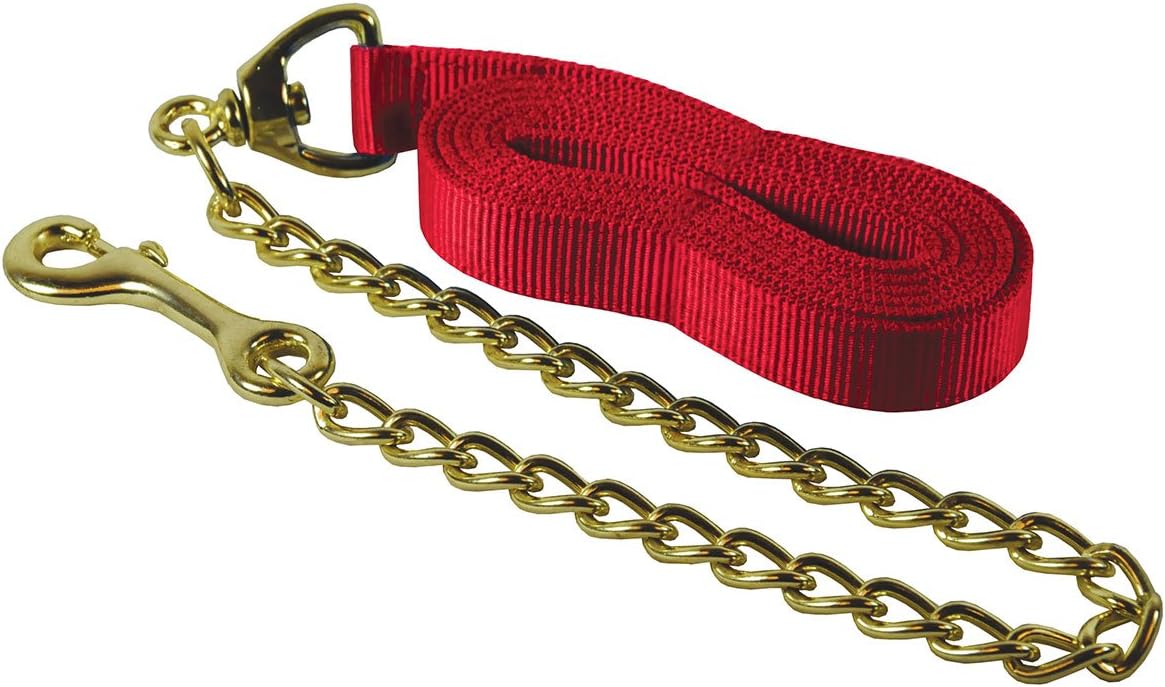 Country Pride Flat Nylon Lead, 24 Inch Chain, Color Red