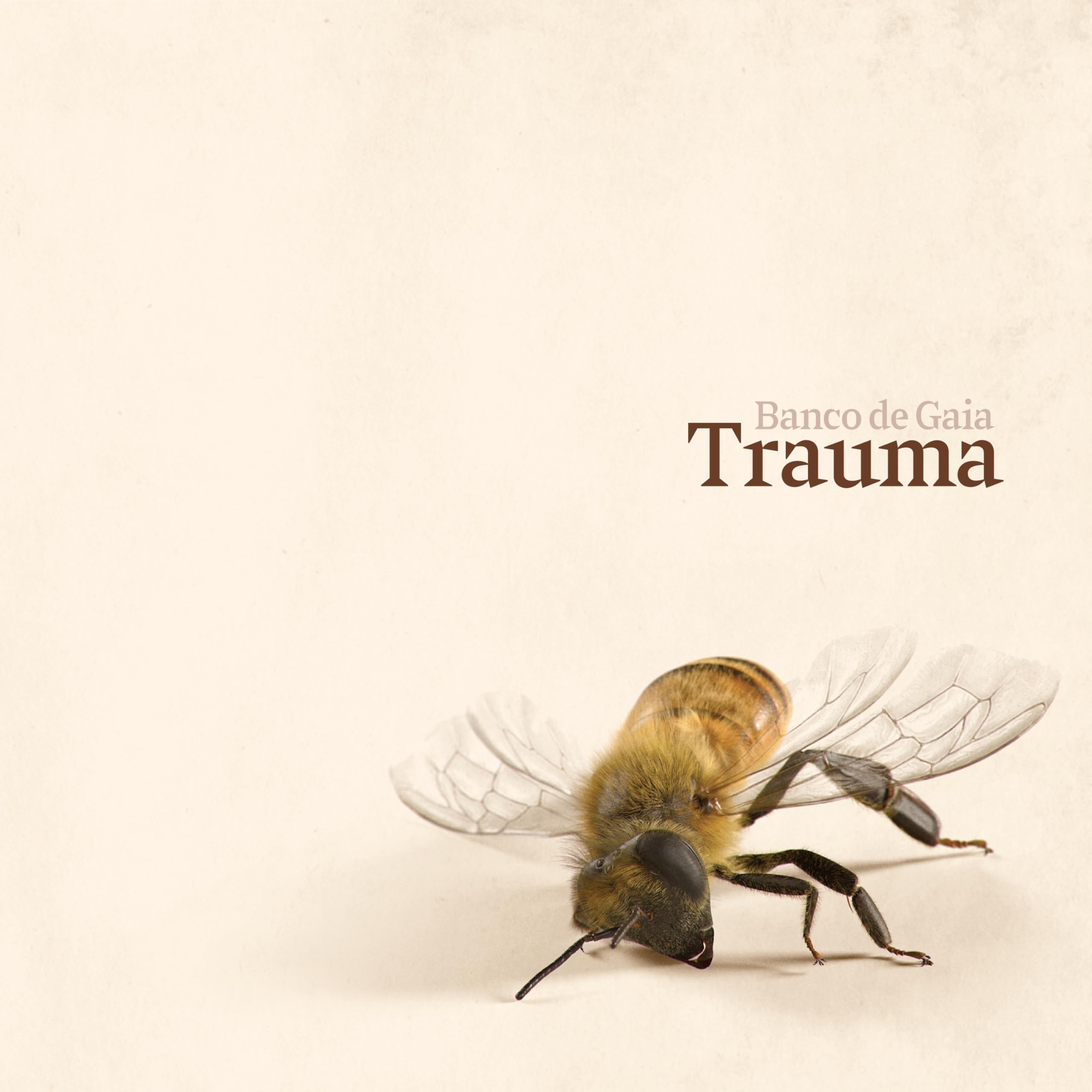 BANCO DE GAIA - Trauma - CD