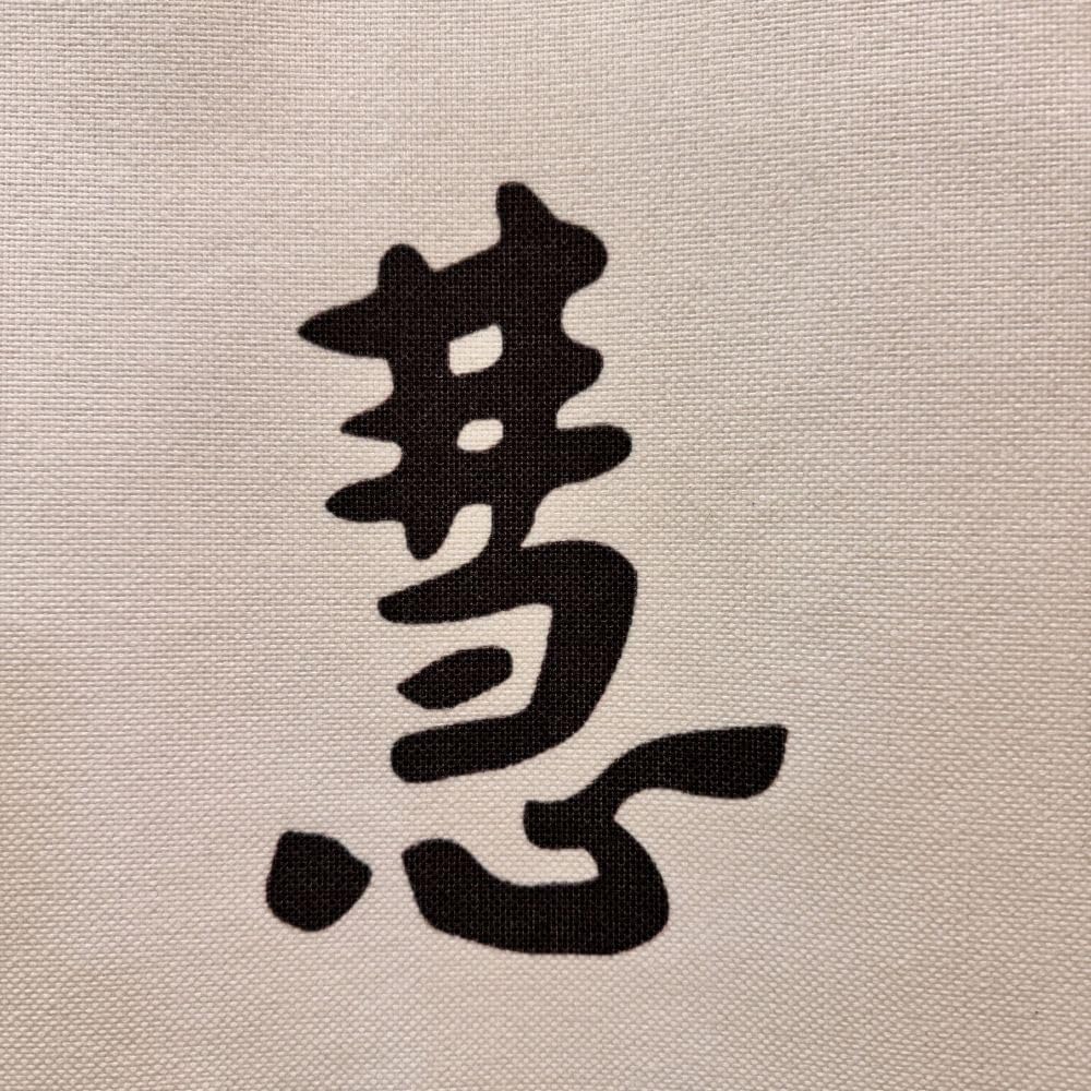 Ofat Home Zen Calligraphy Noren Doorway Curtain – “Wisdom Dispels All Afflictions” Minimalist Inspirational Decorative Curtain, 33.5" x 59"
