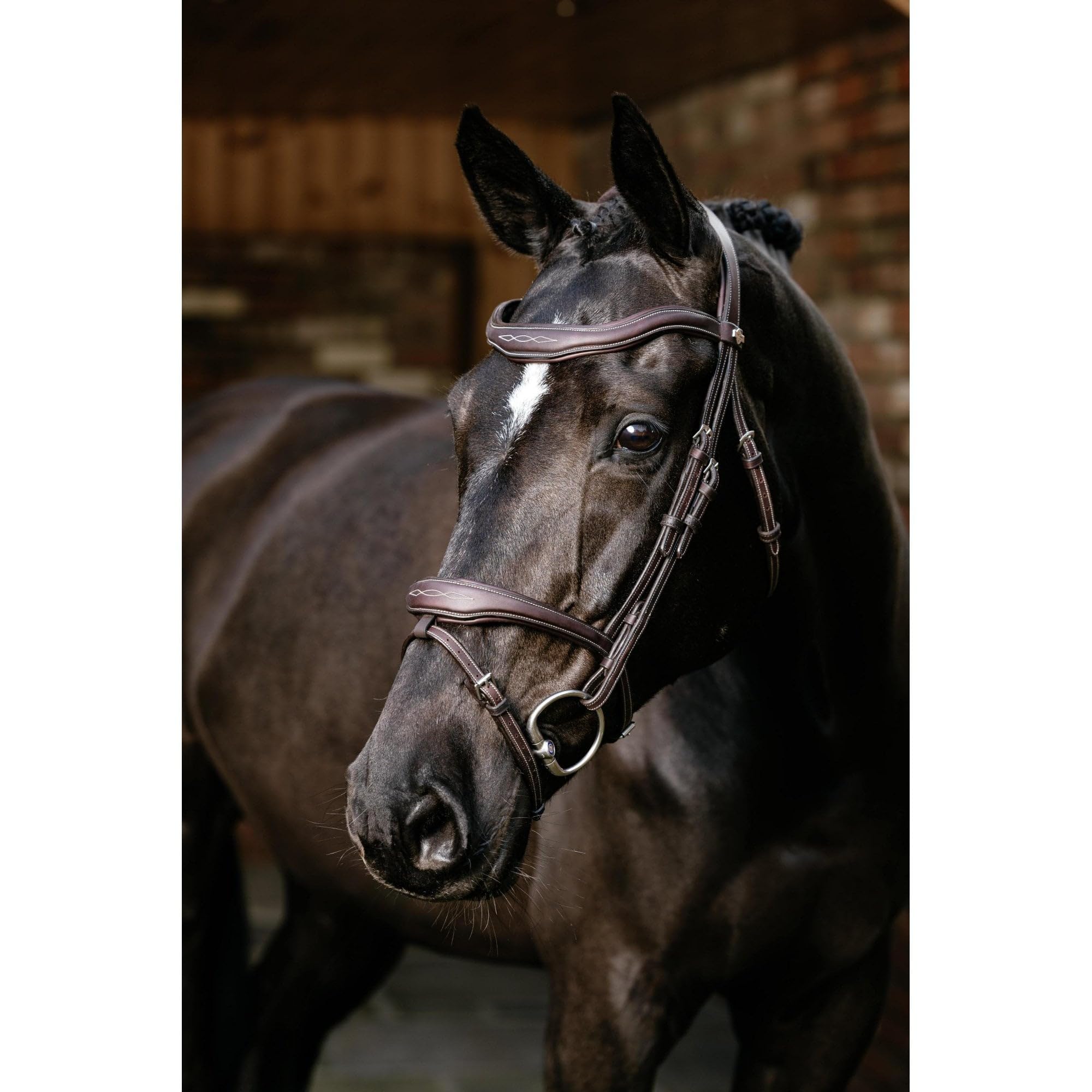 LeMieux Kudos Contour Flash Bridle - Soft Leather - Removable Flash - Anatomic Headpiece - Brown - Cob