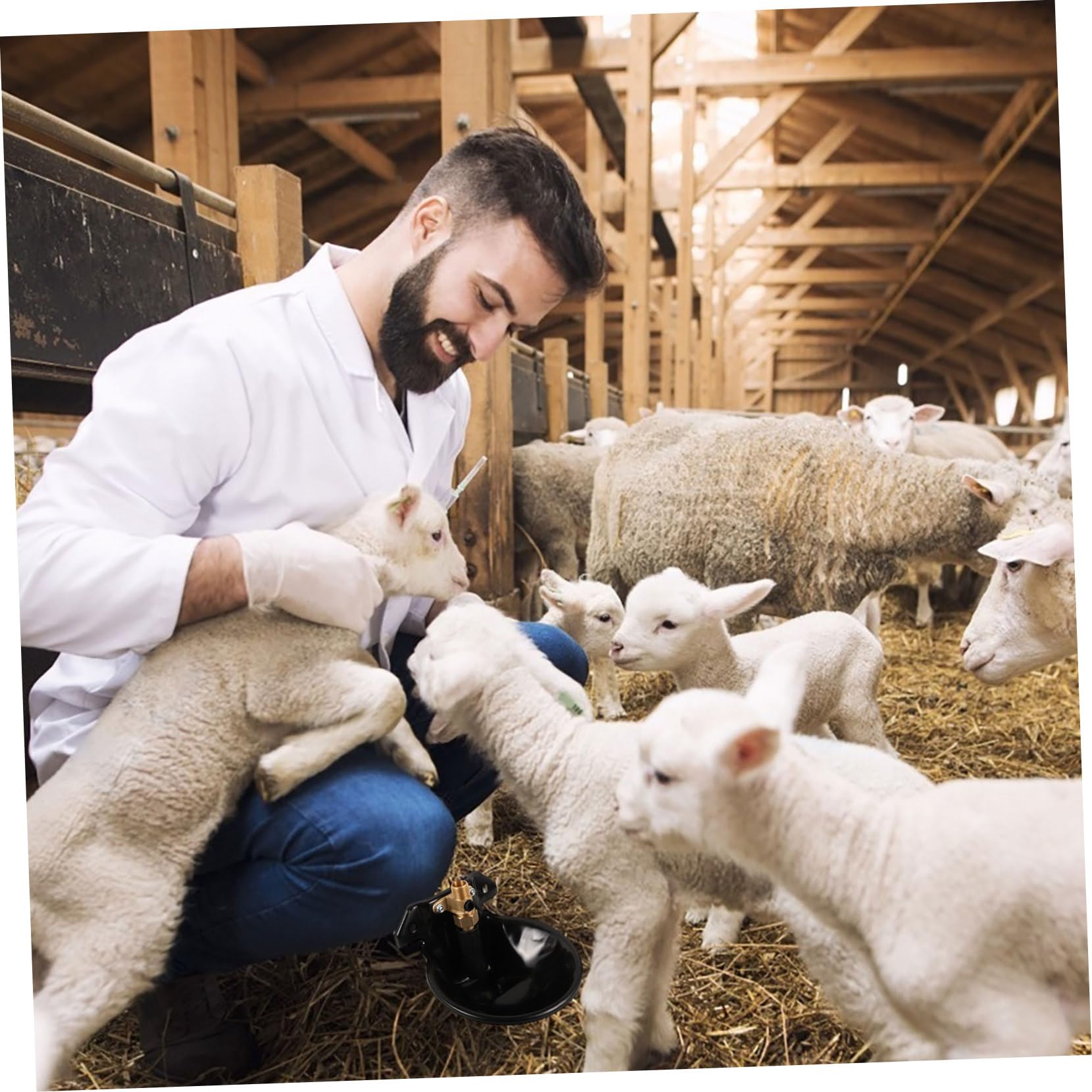 Abbeveratoio Automatico per Pecore e Cavalli, Acciaio Nero | Capienza Ampia, Forma a Ciotola, Risparmio Idrico e Protezione Contro gli Schizzi