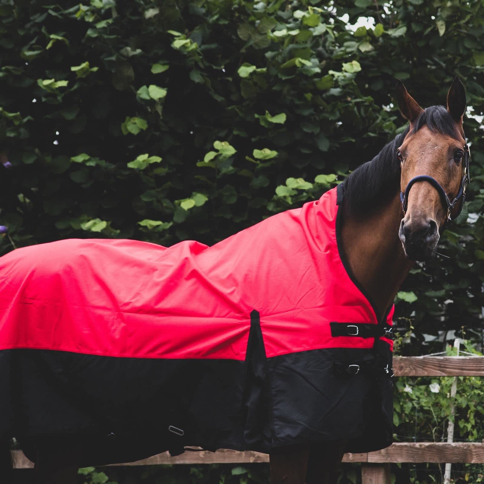 Equitack 1200D Winterdecke Pferd, 155cm | 100g Highneck Regendecke Pferd mit Fleece | wasserdichte Outdoordecke Pferd |Rot/Schwarz