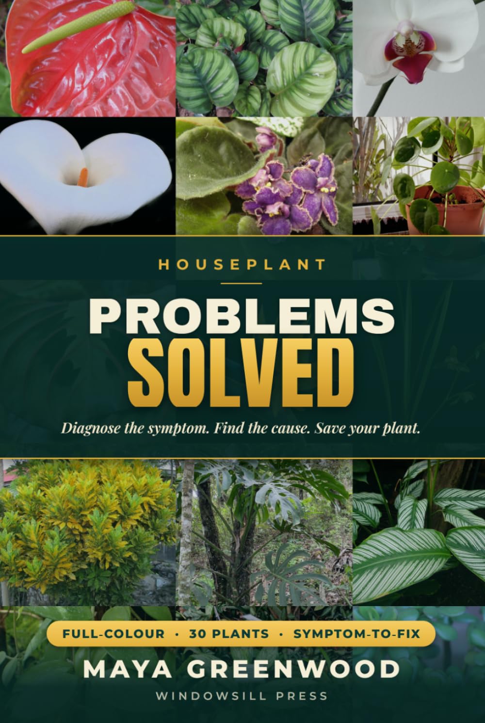 Houseplant Problems Solved: A Complete Full-Colour Indoor Plant Care Guide to Diagnose and Fix 30 Popular Houseplants — Yellow Leaves, Root Rot, Pests, Drooping and More, Illustrated for Beginners