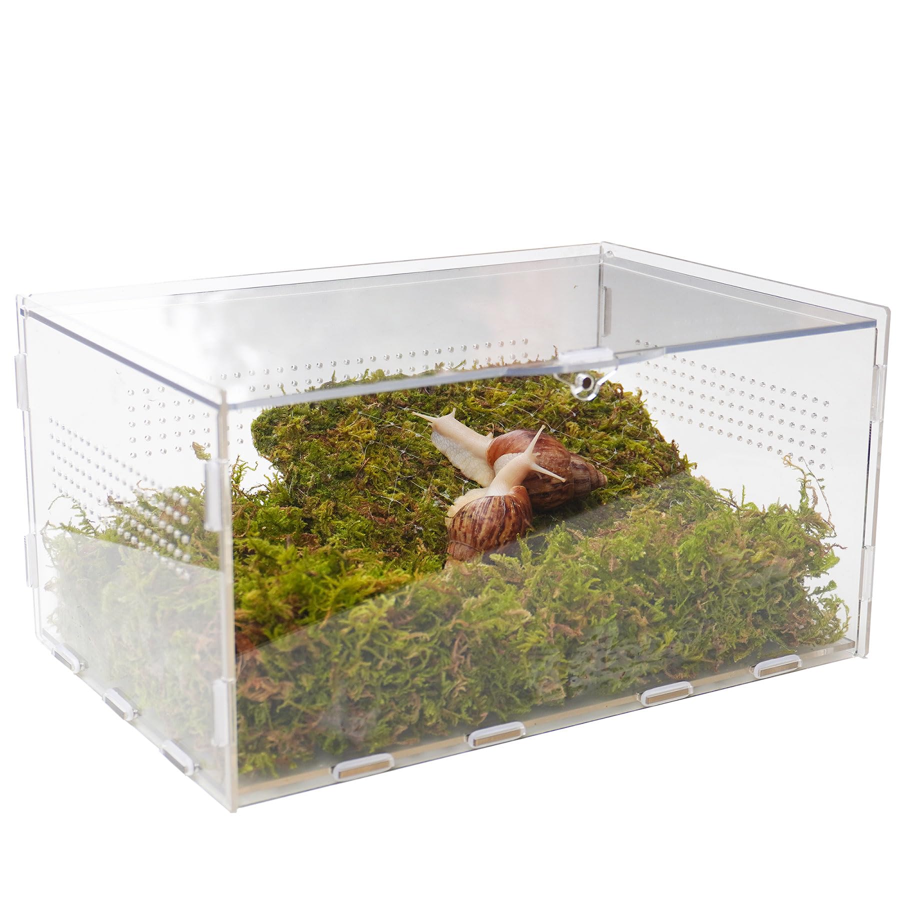 Zestaw terrarium dla zwierząt domowych ze ślimakiem o wymiarach 28,5 x 20 x 15 cm terrarium ze ślimakiem i ścianą wspinaczkową 18 cm