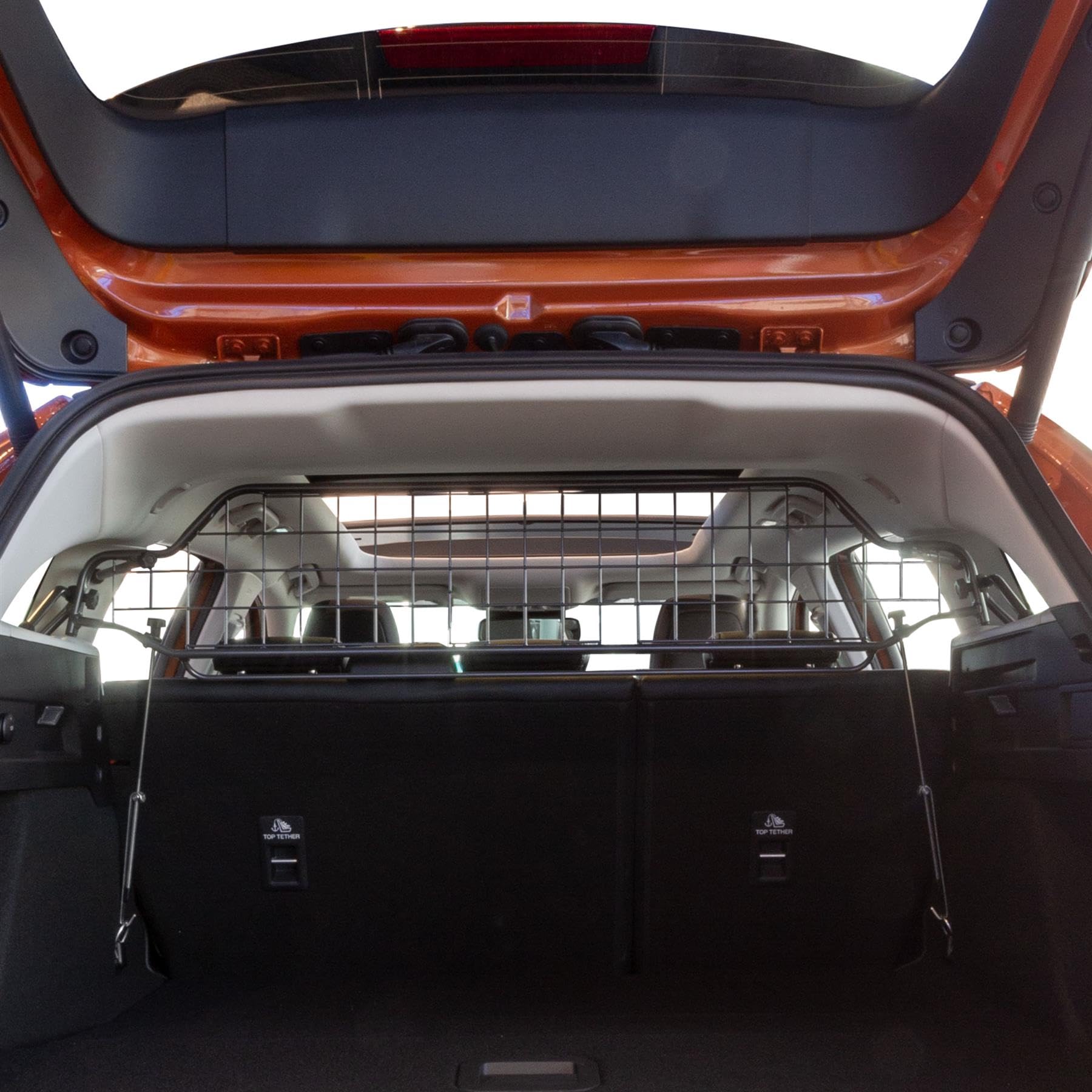 Travall Dog Guard Compatible with Ford Focus (2018-Current) [Station Wagon] Vehicle Specific Boot Guard Tailored Fit Luggage Pet Barrier Separator Heavy Duty Powder Coated Steel