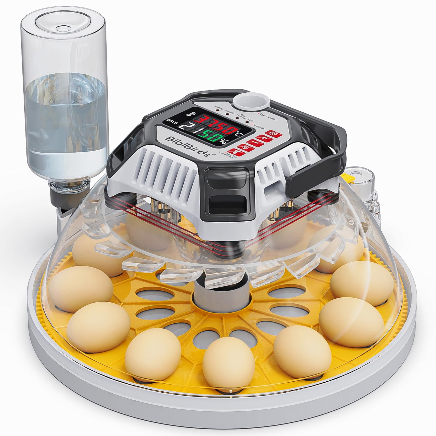 Incubadora automática de 12 huevos con control automático de humedad,Suministro de agua externo, Volteador De Huevos Automático,Contador Diario,BibiBirds Incubadora Huevo Gallina Codornices Pollito.