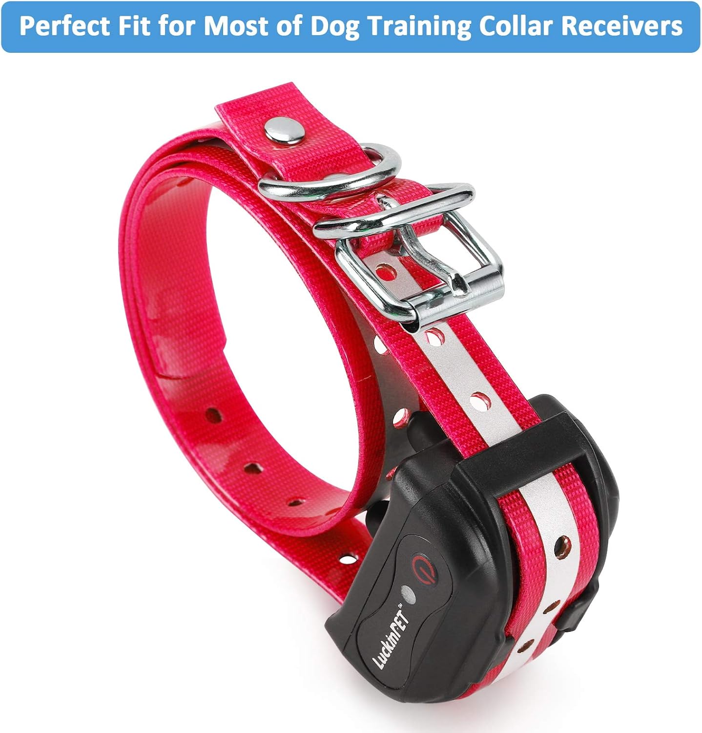 shock collar replacement strap