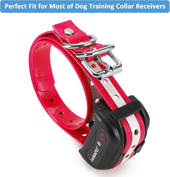 Replacement Collar Compatible with Petsafe, PATPET, Sportdog, Garmin, Dogtra, etc. Most Training Collar/Fence Receivers, 3/4 Inch, Reflective, Adjustable, Metal Buckle, Waterproof (Red)